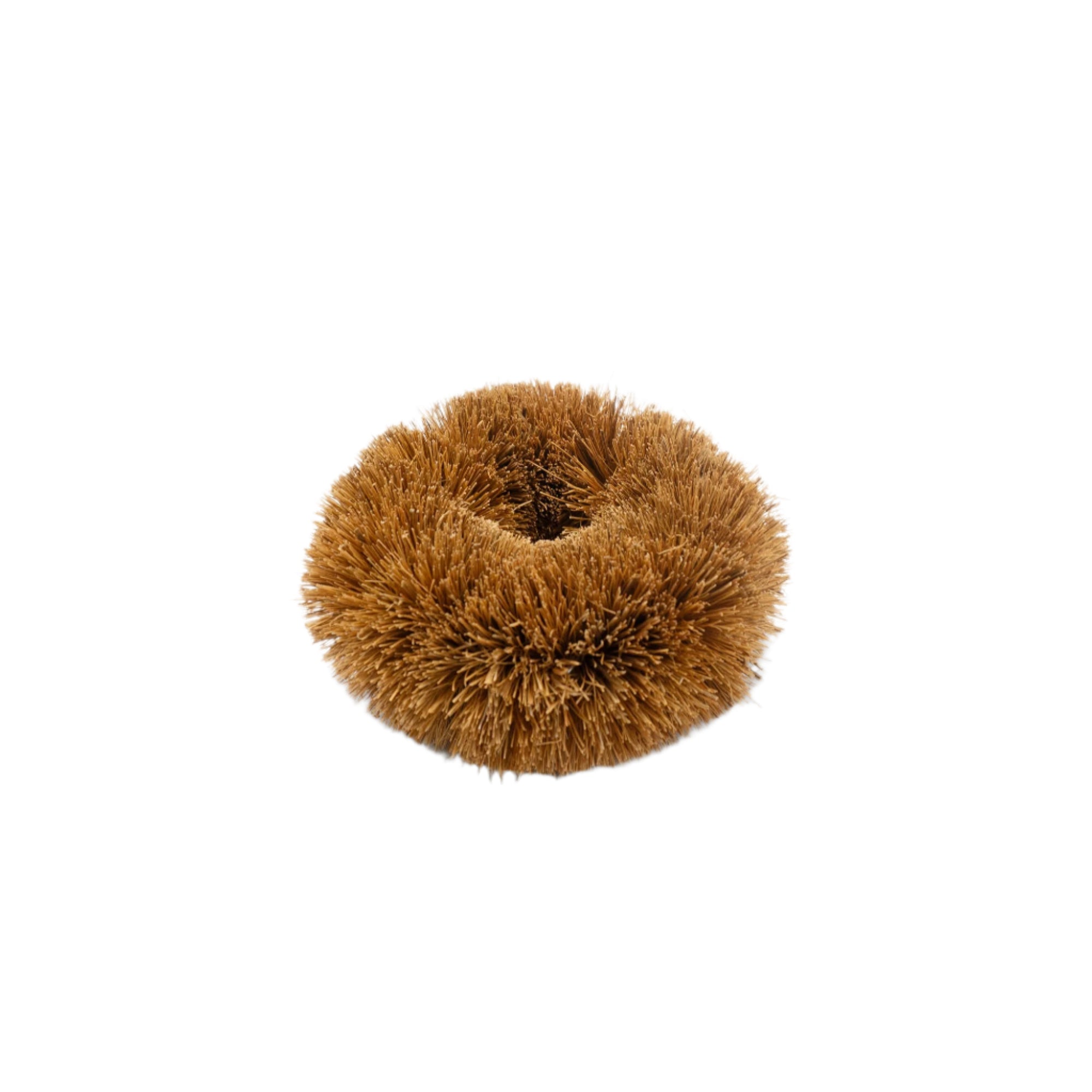 Coconut Scrubber by Everneat