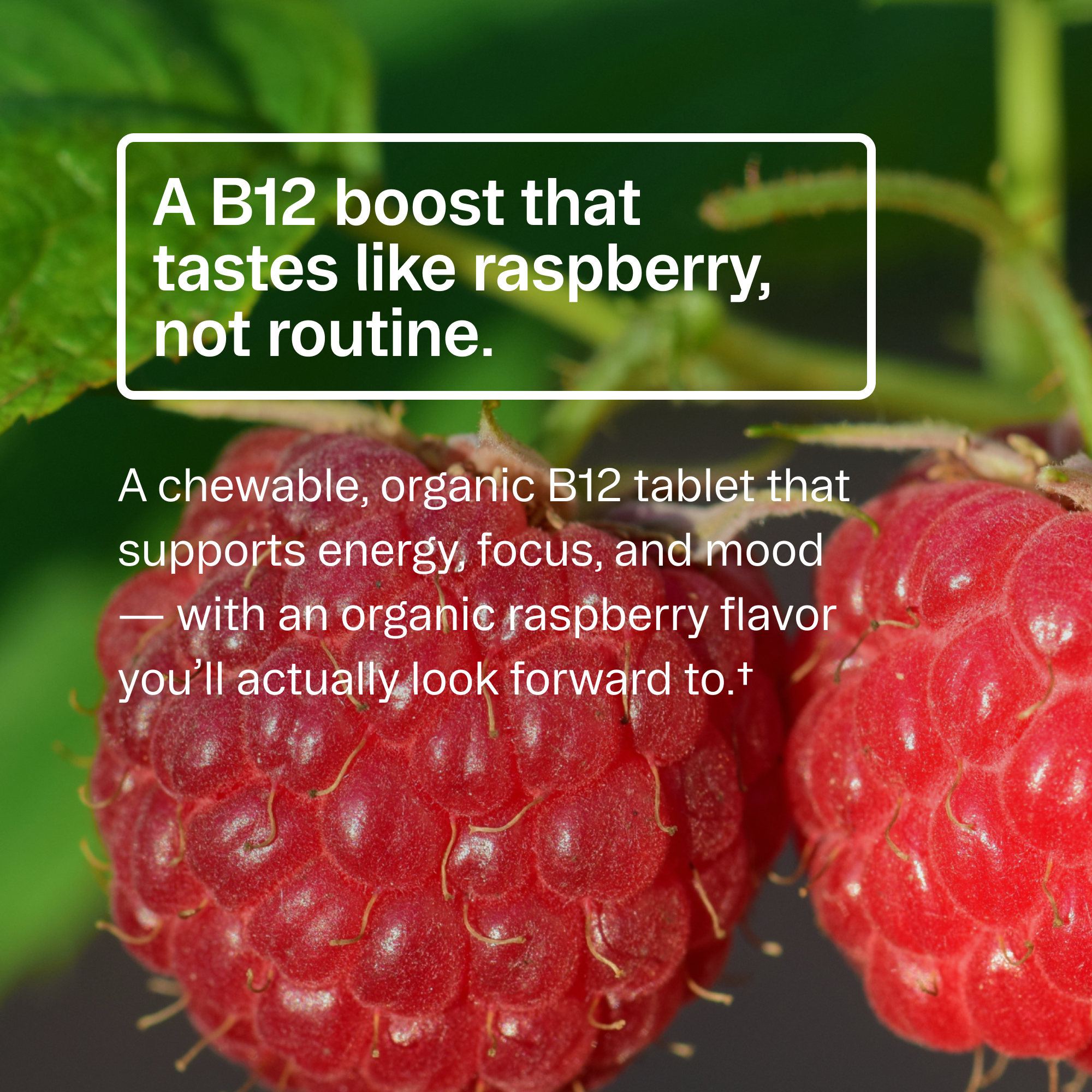 Vitamin B12 Chewables