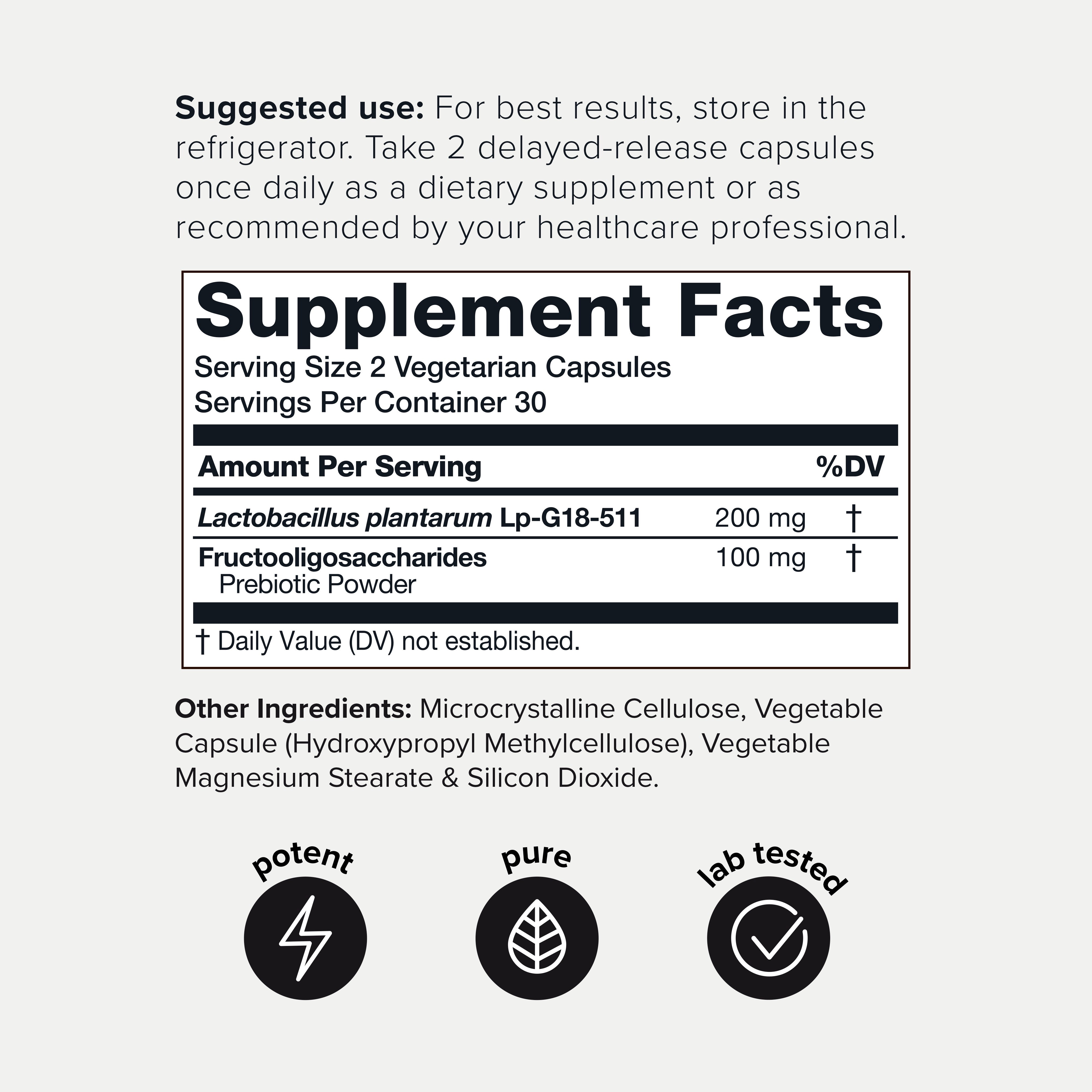 Lactobacillus Plantarum 100