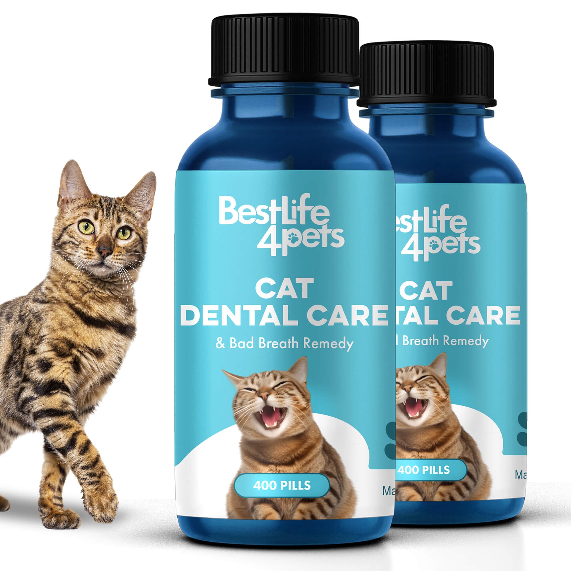Cat Dental Care and Bad Breath Remedy by BestLife4Pets
