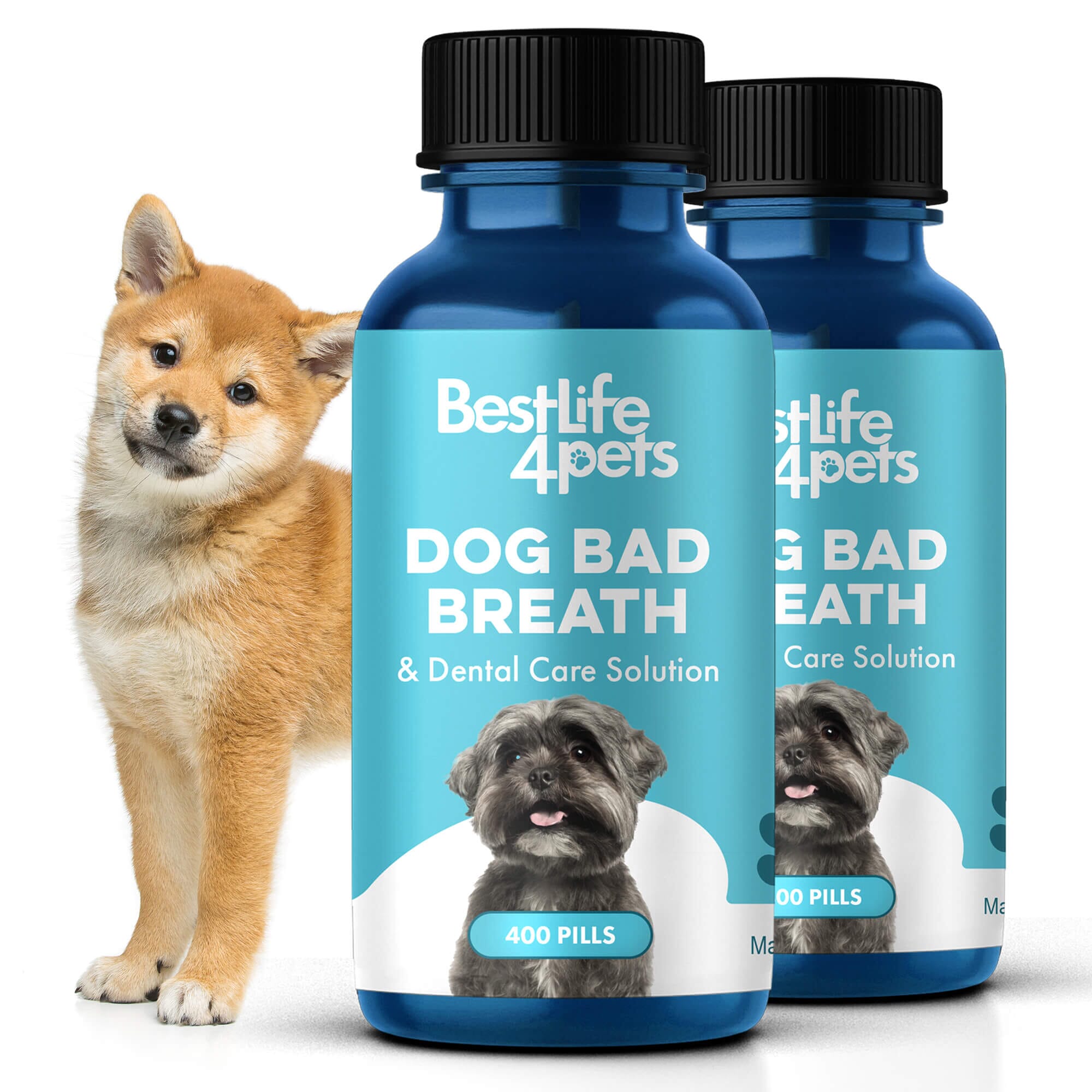 Dog Bad Breath & Dental Care Solution by BestLife4Pets