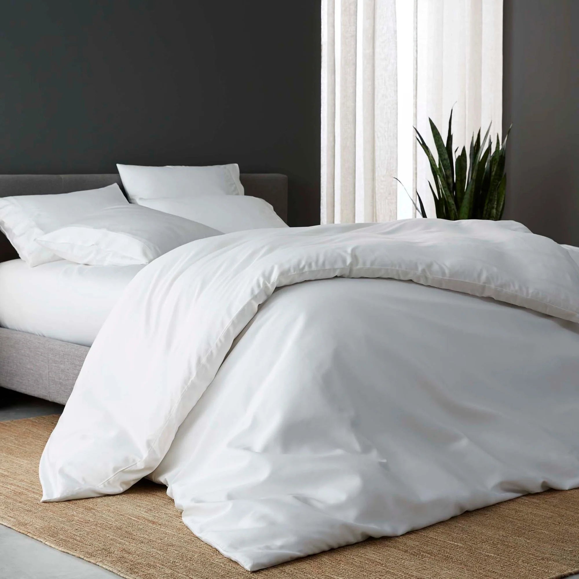 Organic Bamboo Sheet Set
