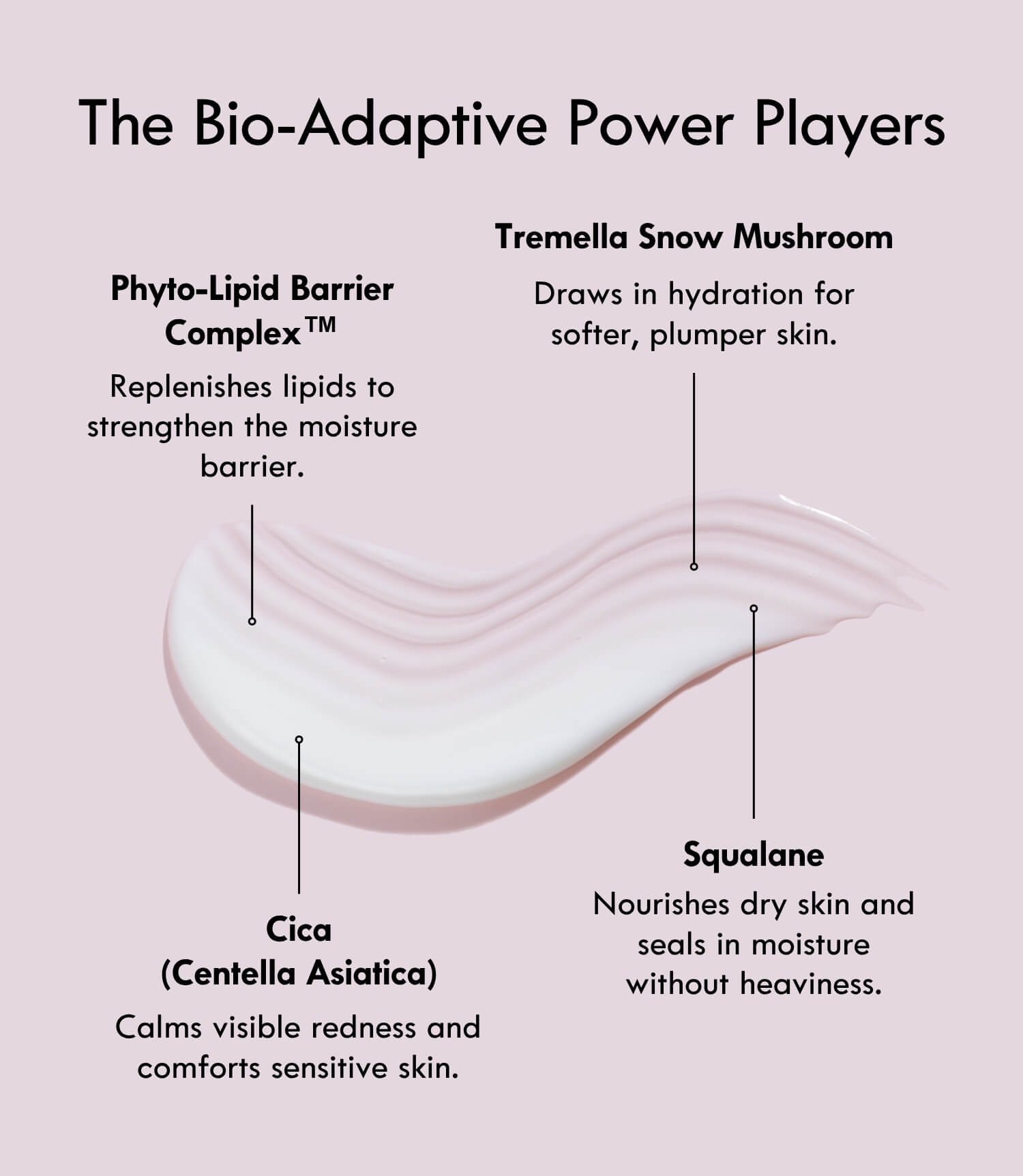 Bio-Adaptive Recovery Cream