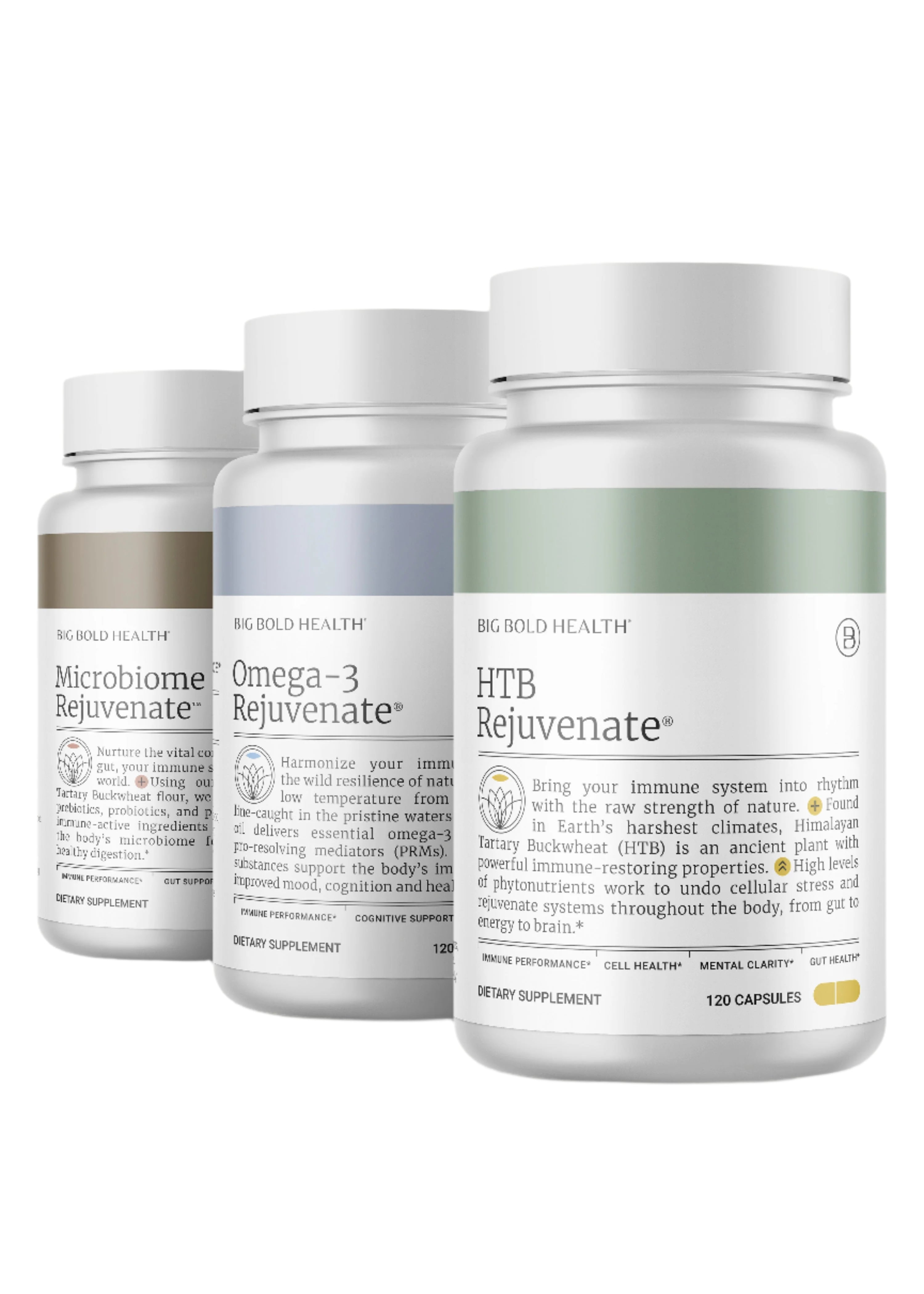 Longevity Bundle by Big Bold Health