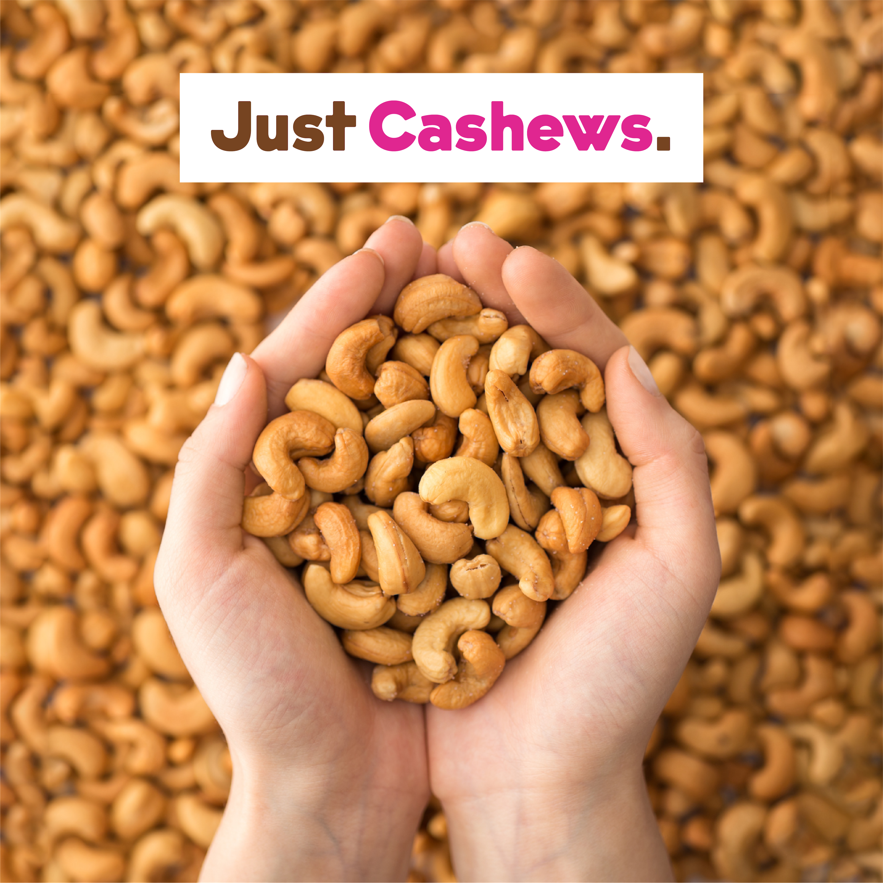 Cashew Milk Base 2-Pack by JOI