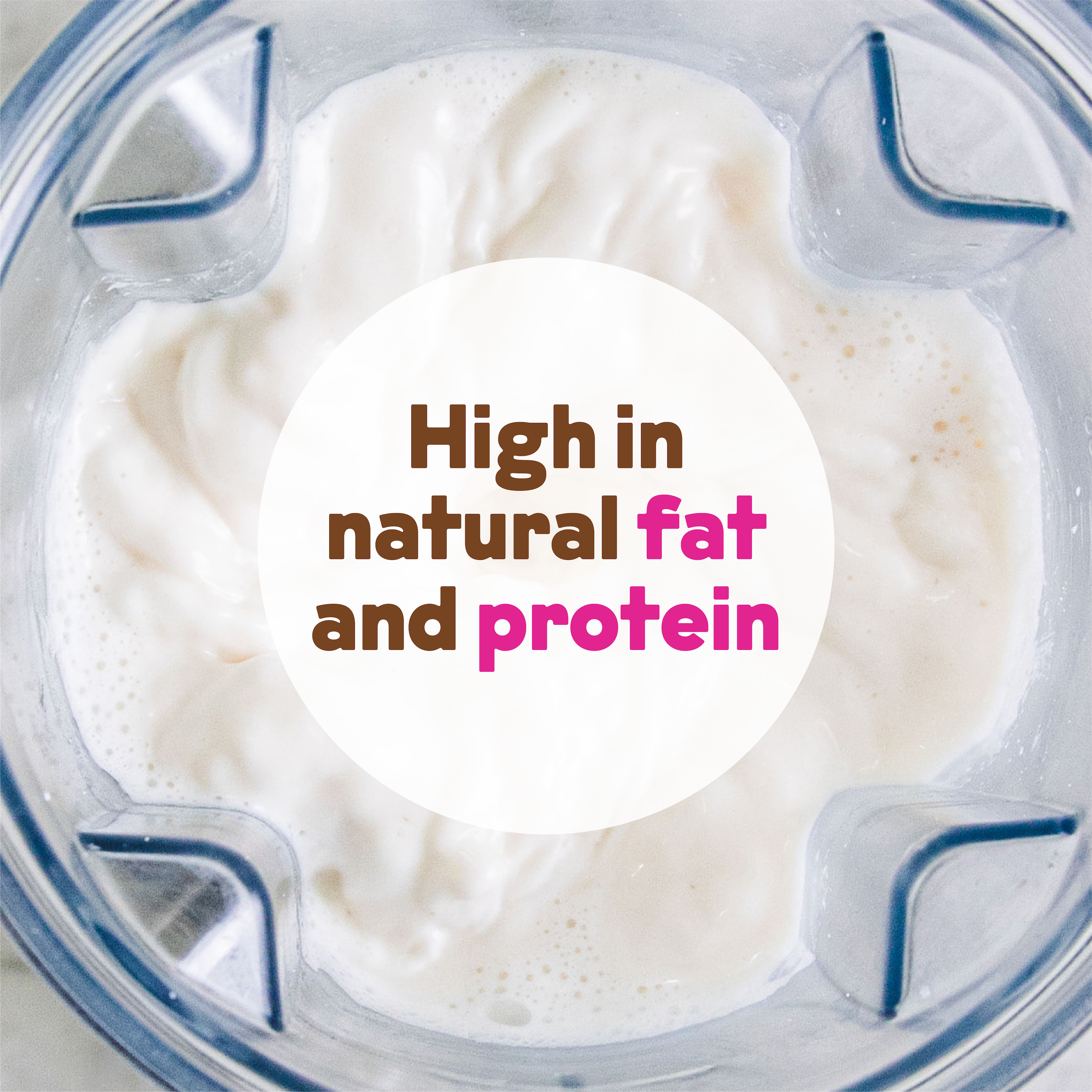 Cashew Milk Base 2-Pack by JOI