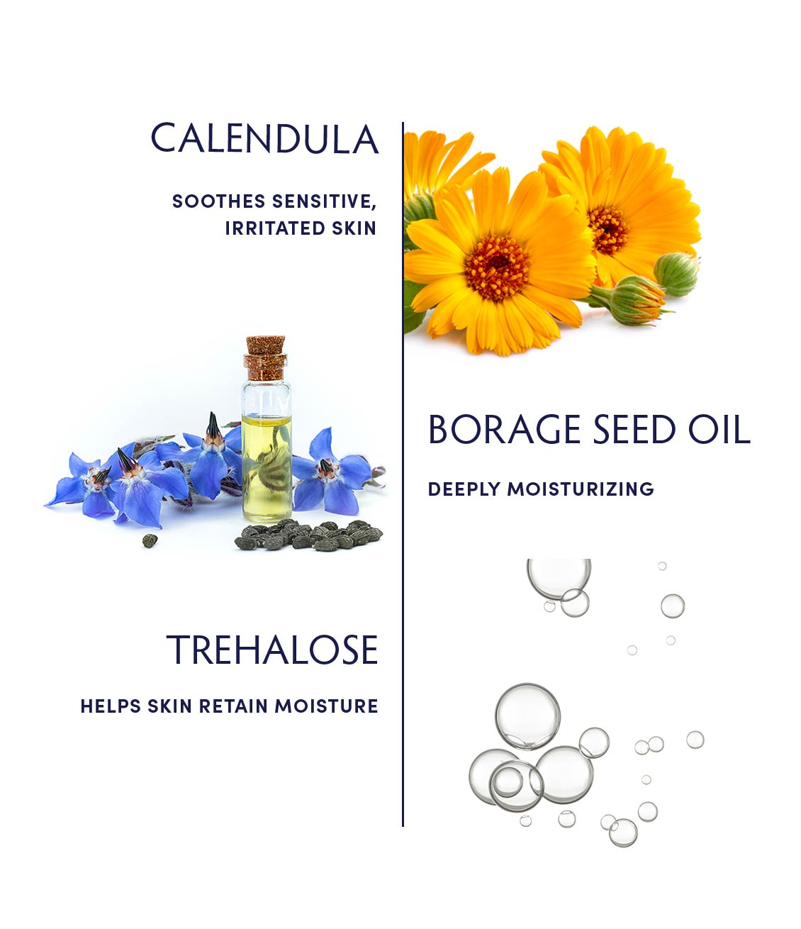 Calendula Essential Hydrating Cream by Naturopathica