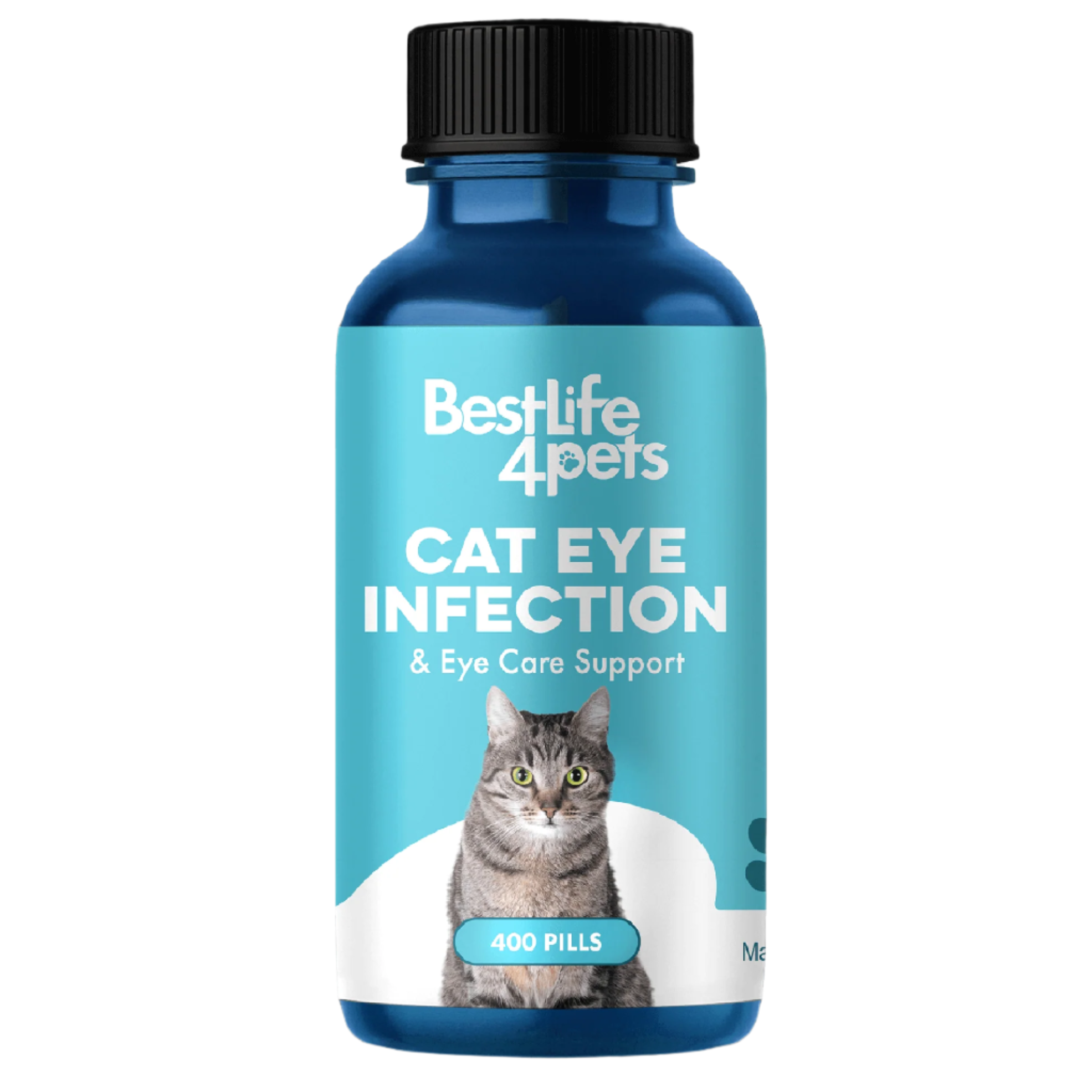 Cat Eye Infection, Eye Care & Vision Support by BestLife4Pets