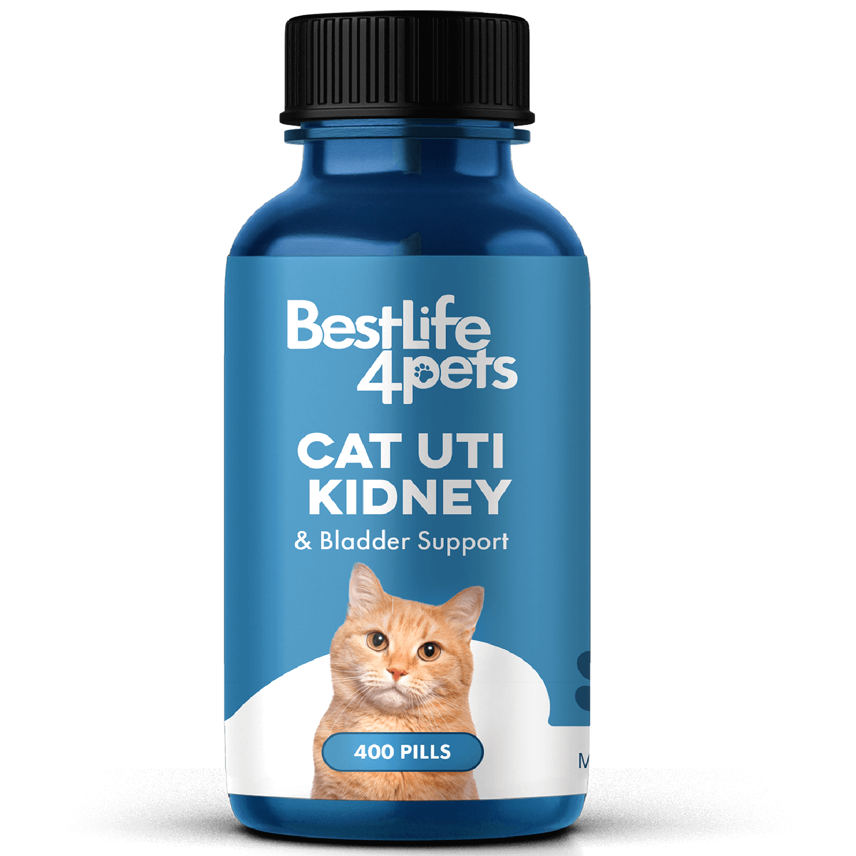 Natural Cat UTI & Kidney Remedy - Reduces Infections and Supports Optimal Bladder Function by BestLife4Pets
