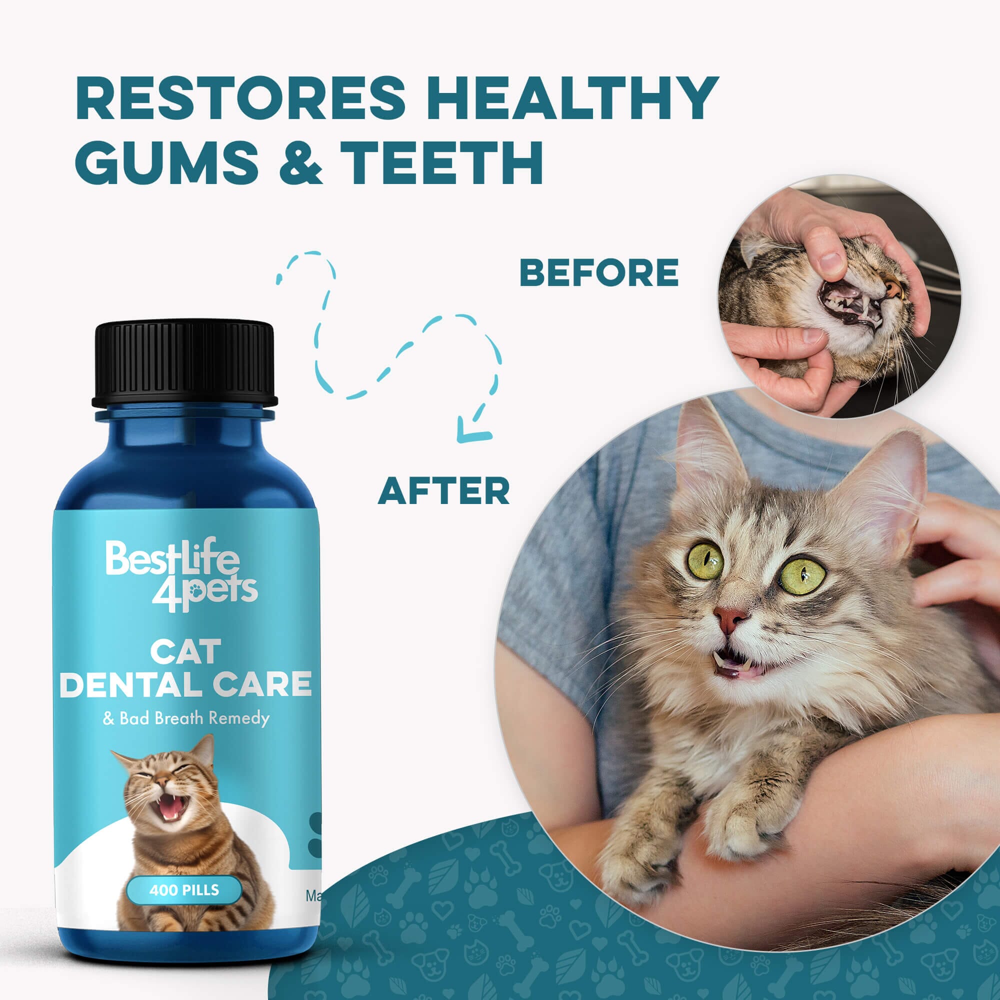 Cat Dental Care and Bad Breath Remedy by BestLife4Pets