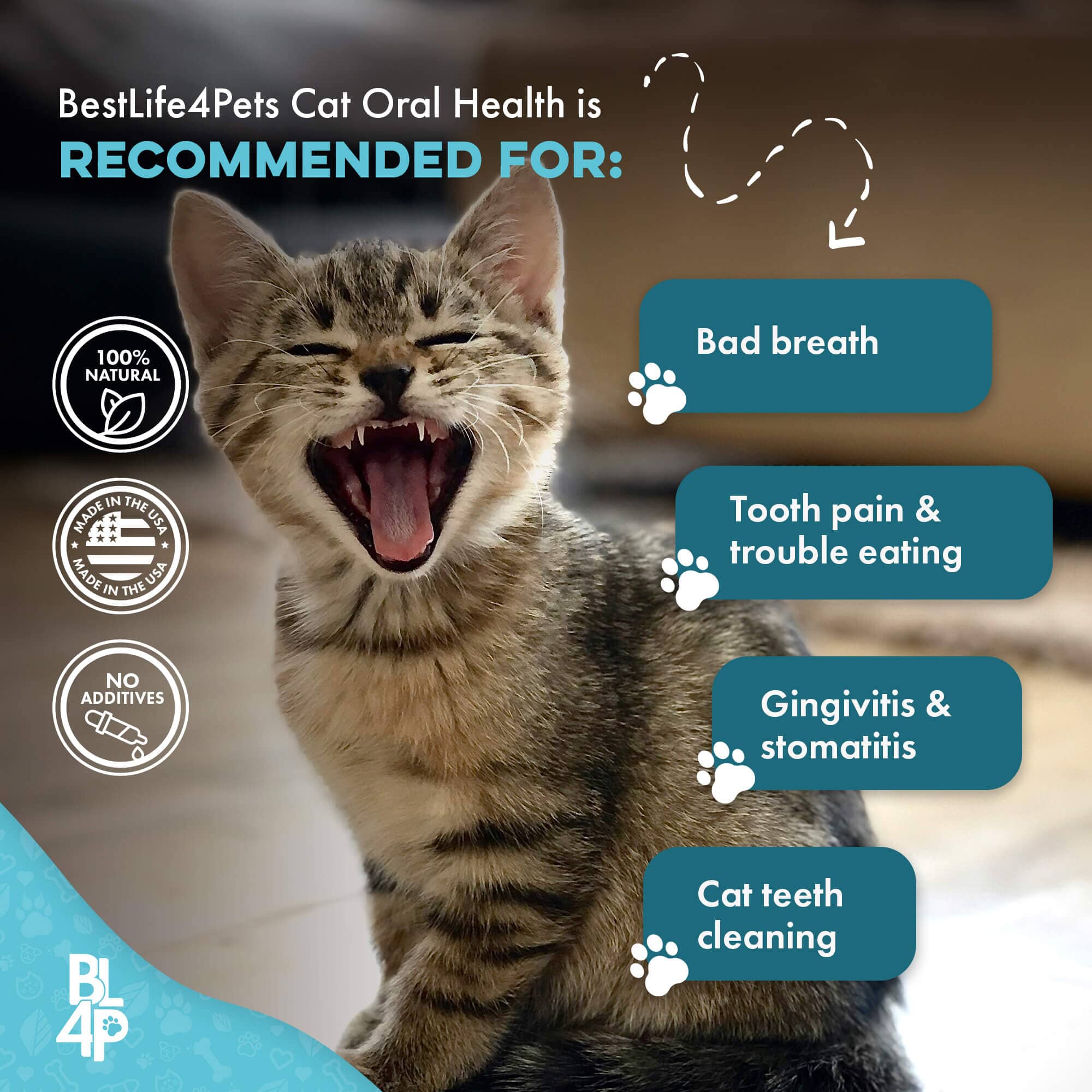 Cat Dental Care and Bad Breath Remedy by BestLife4Pets