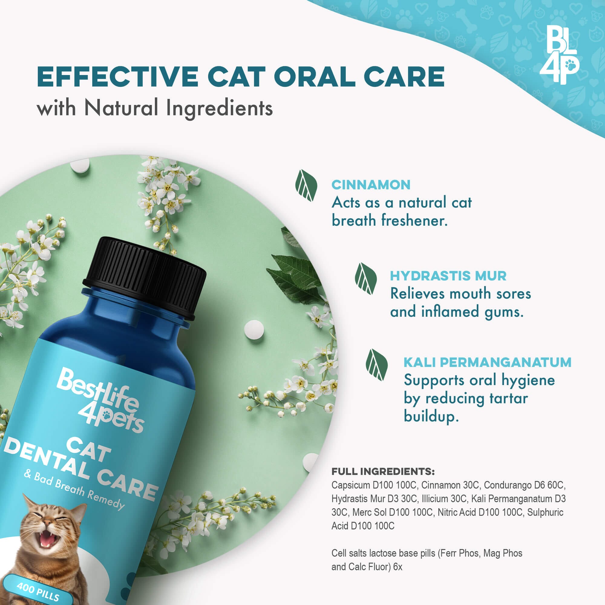 Cat Dental Care and Bad Breath Remedy by BestLife4Pets