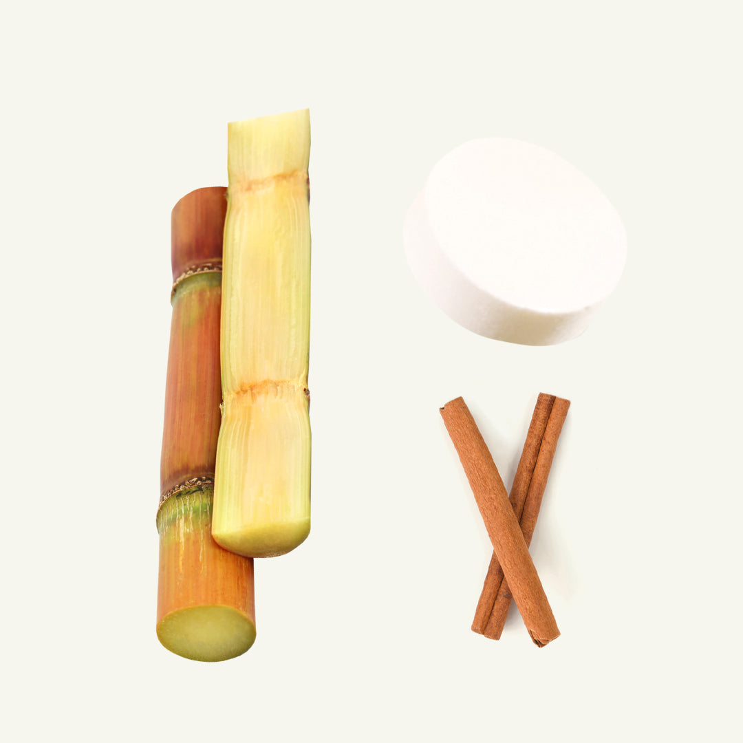 SIMPLY MINTS- CINNAMON