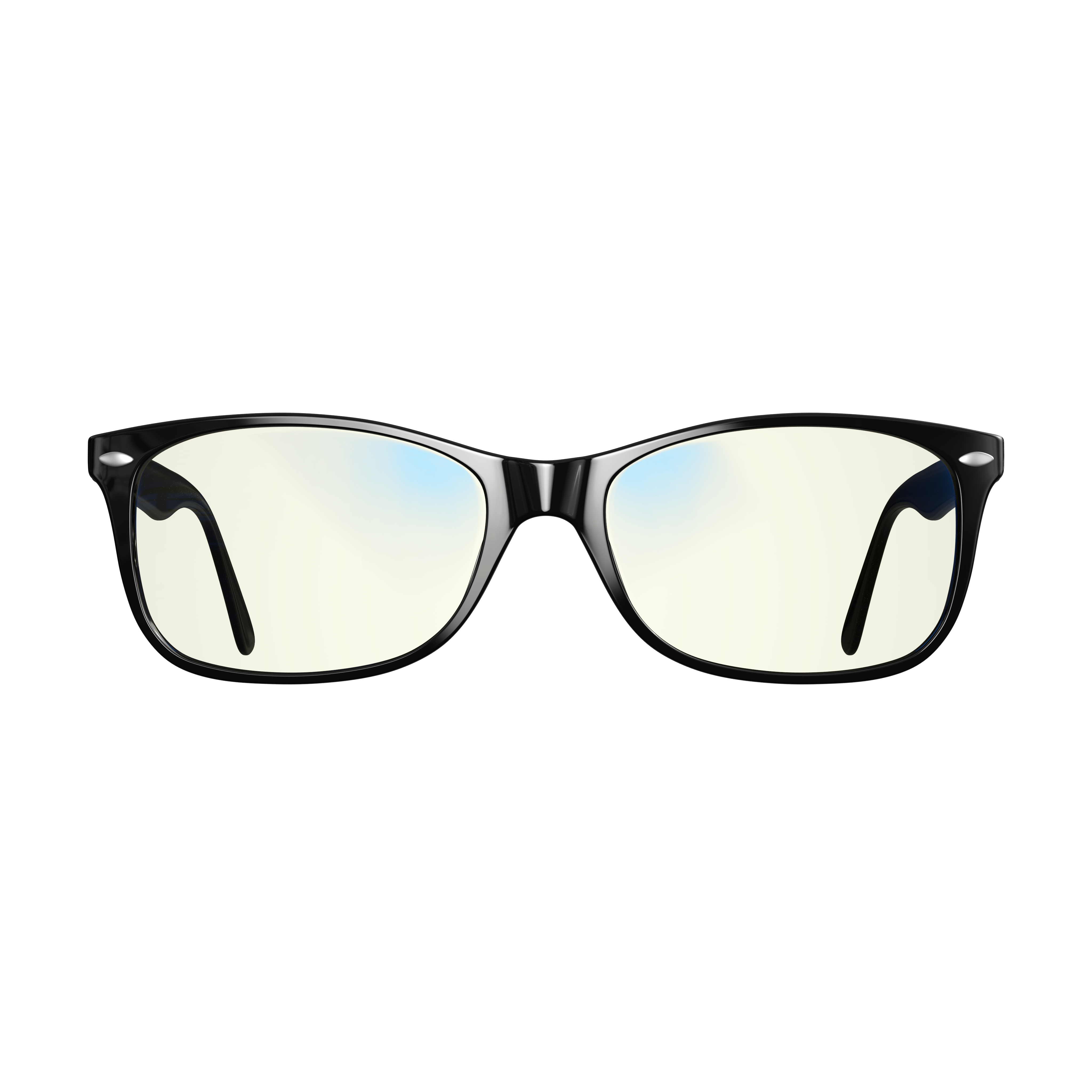 Focus Swannies Classic Black