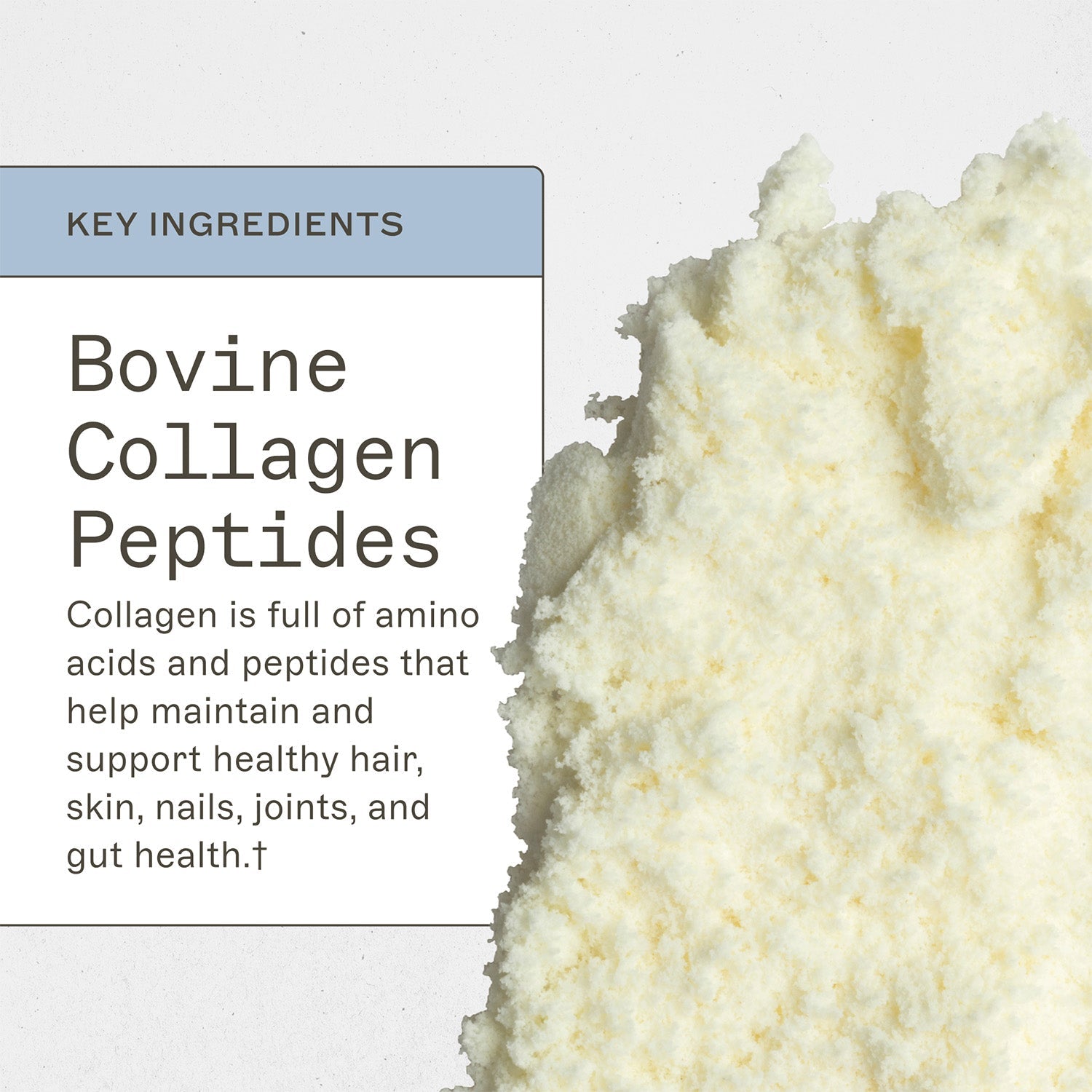 Collagen Protein - Type 1 & 3 Collagen by Amy Myers MD