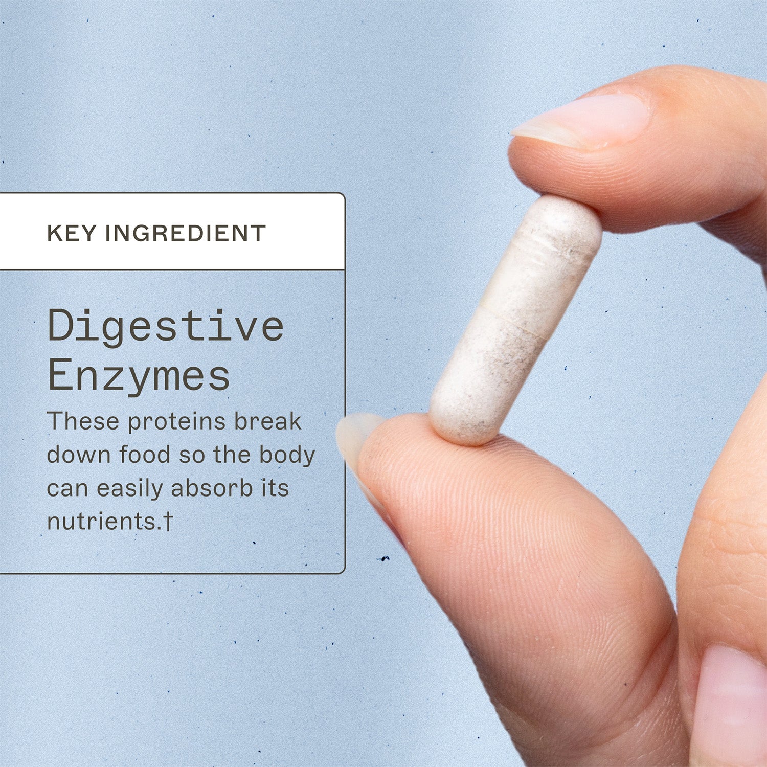 Complete Enzymes by Amy Myers MD