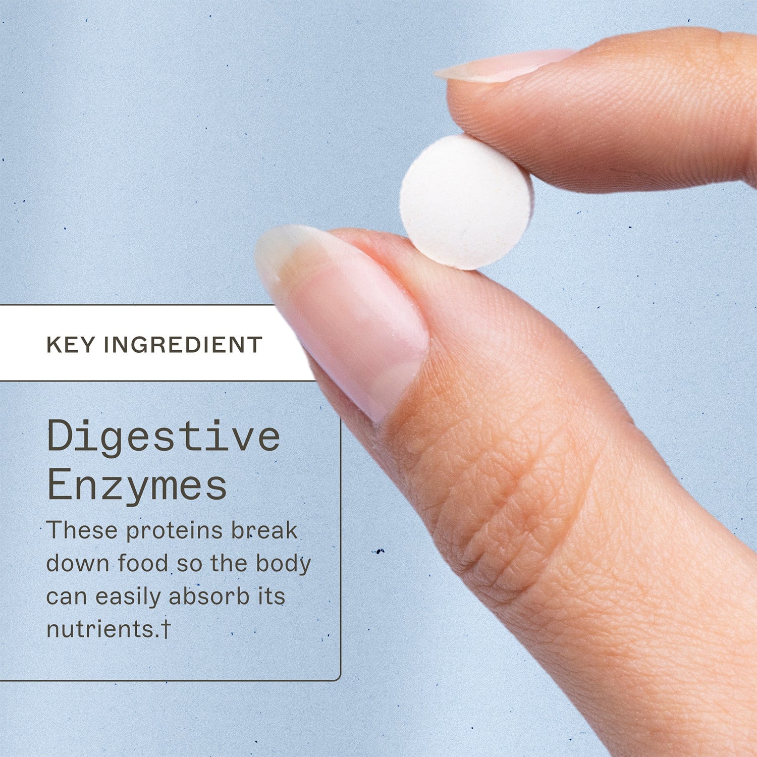 Complete Enzymes - Chewable by Amy Myers MD