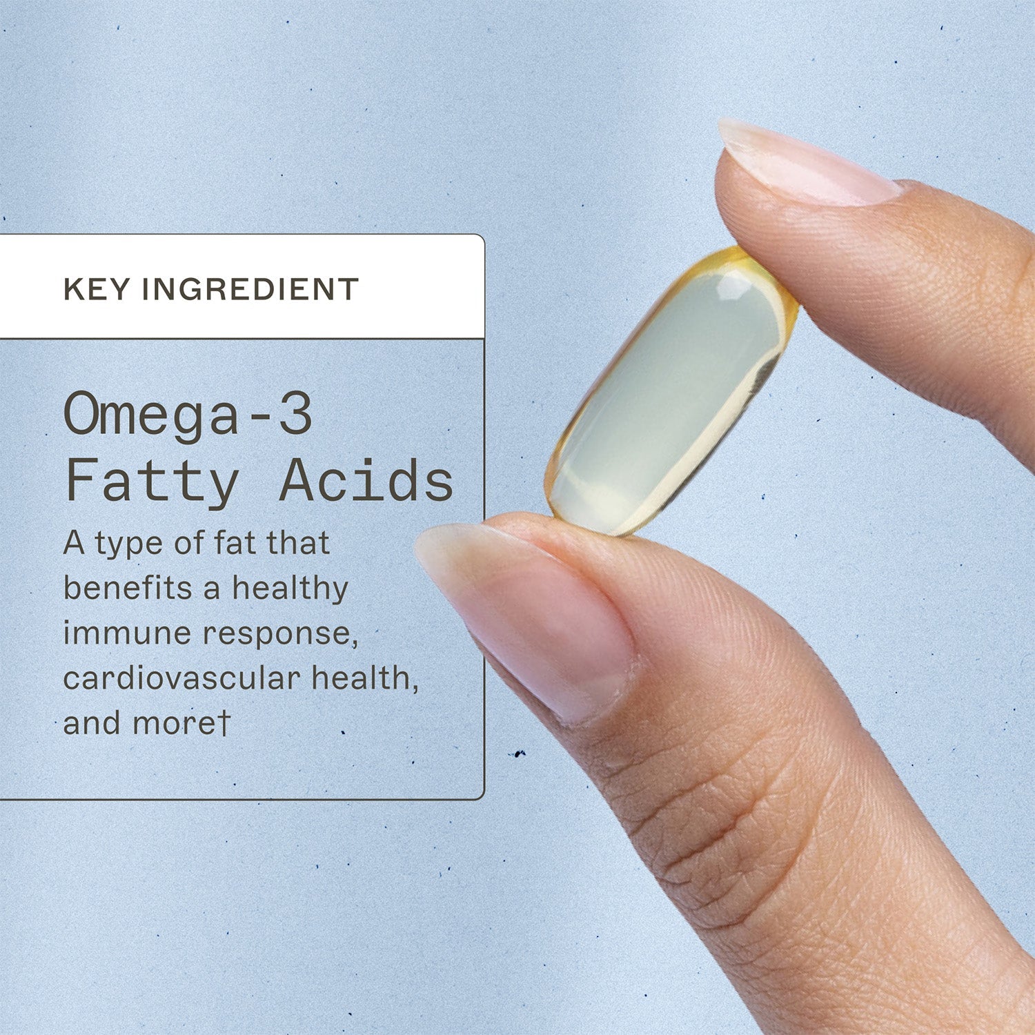 Complete Omega-3 Softgels by Amy Myers MD
