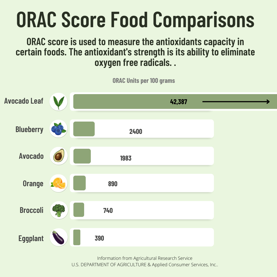 Avocado Leaf Tea Black Tea Blend by Avocado Tea Co.