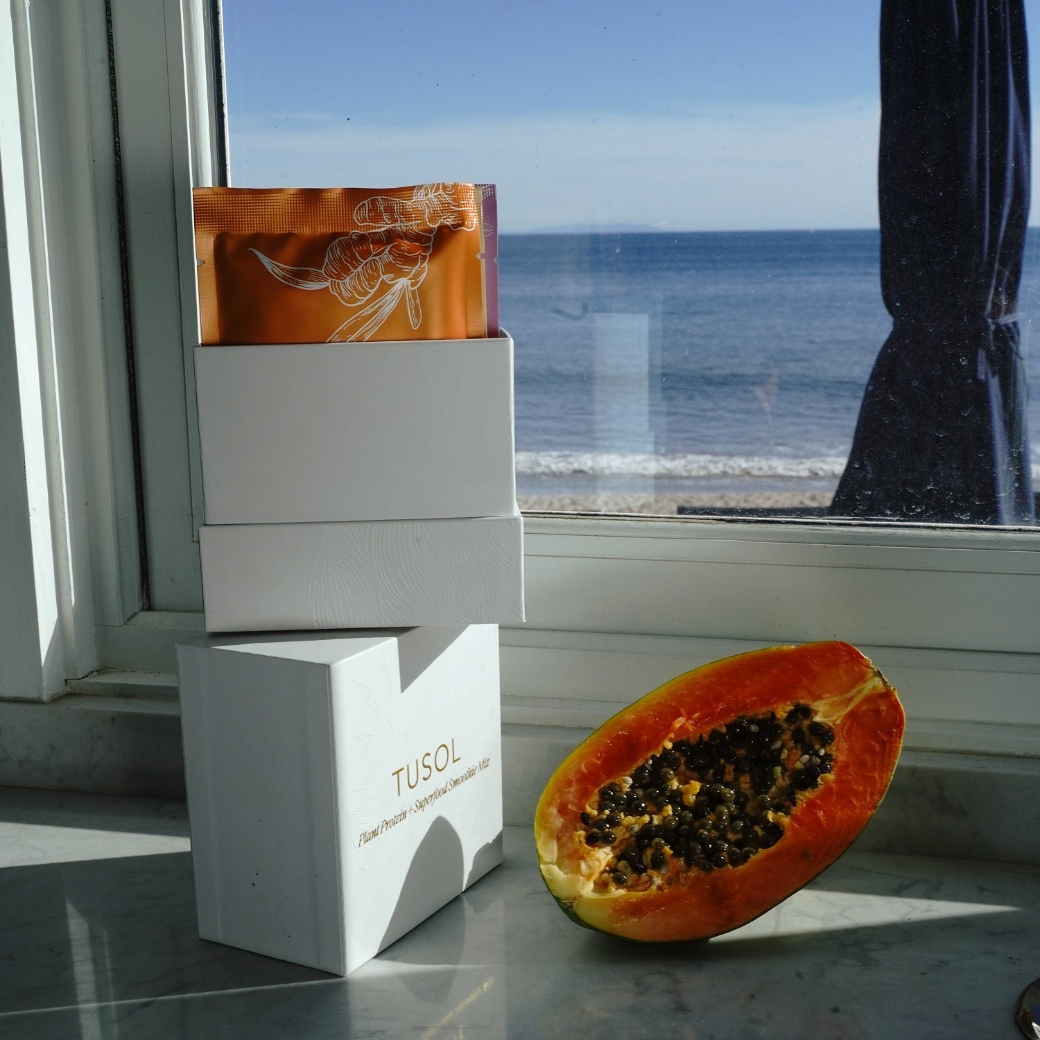 Plant Protein + Superfood Smoothie Mix (Sample Box) by TUSOL Wellness