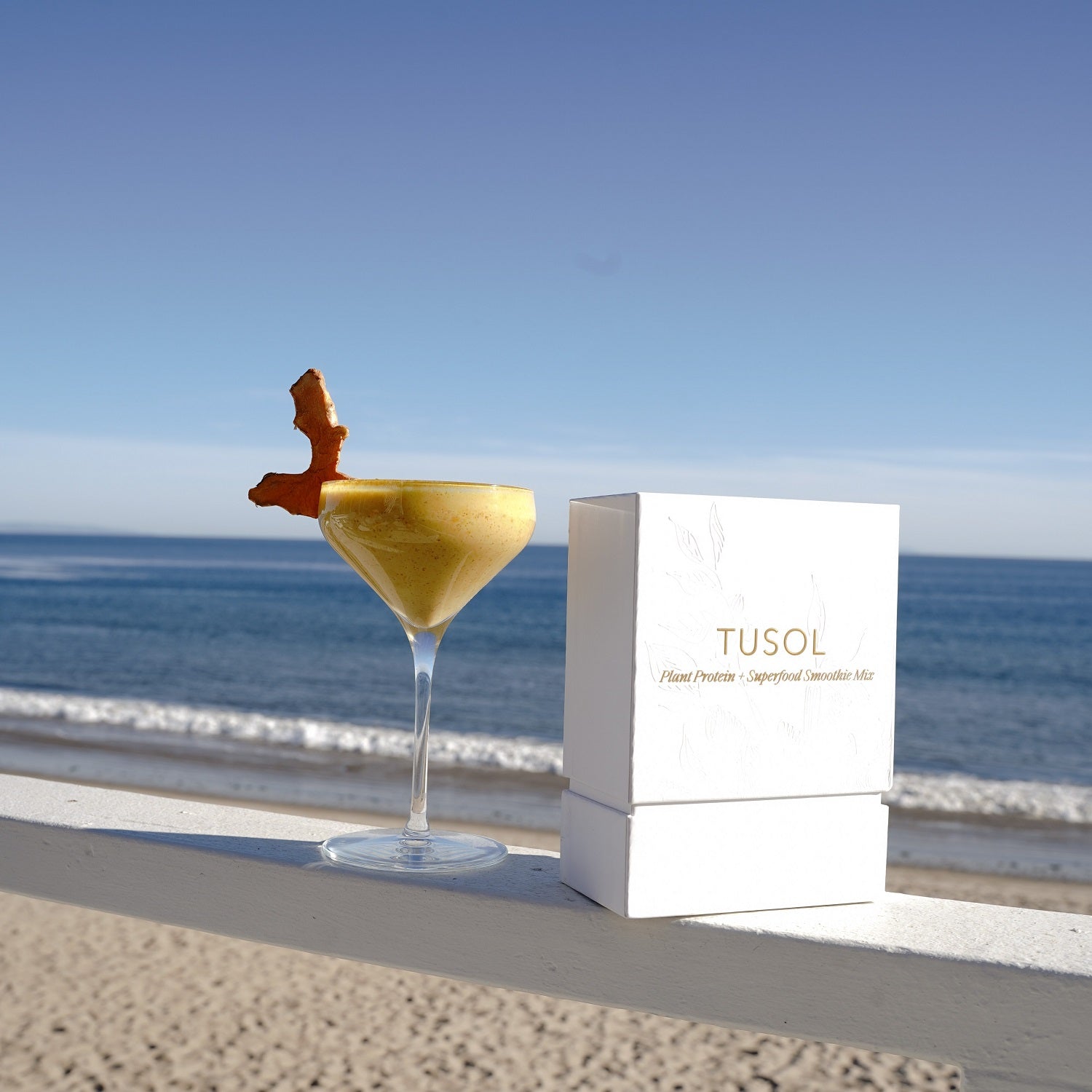 Plant Protein + Superfood Smoothie Mix (Sample Box) by TUSOL Wellness