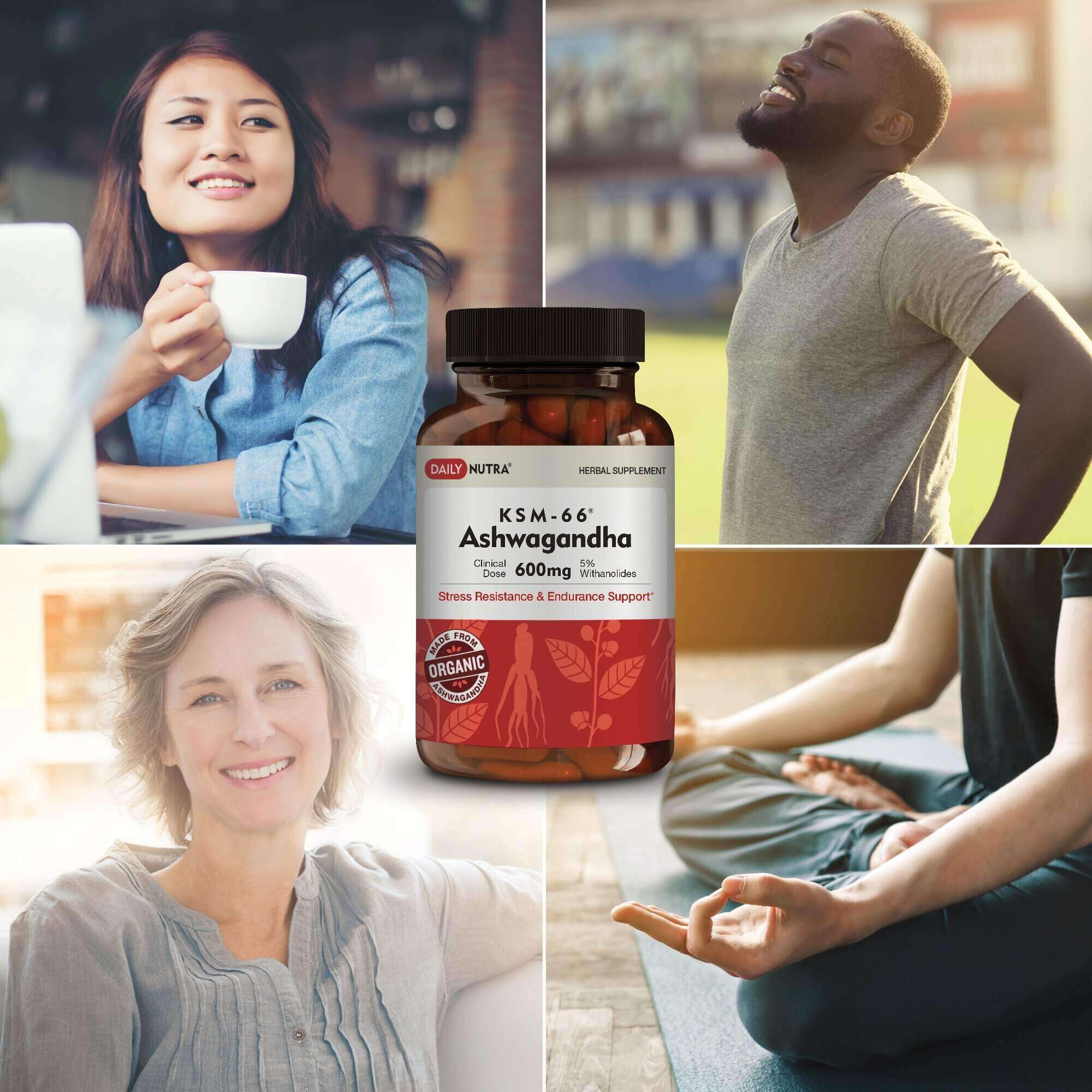 Wholesale of 10 - Daily Nutra KSM-66 Ashwagandha 60c