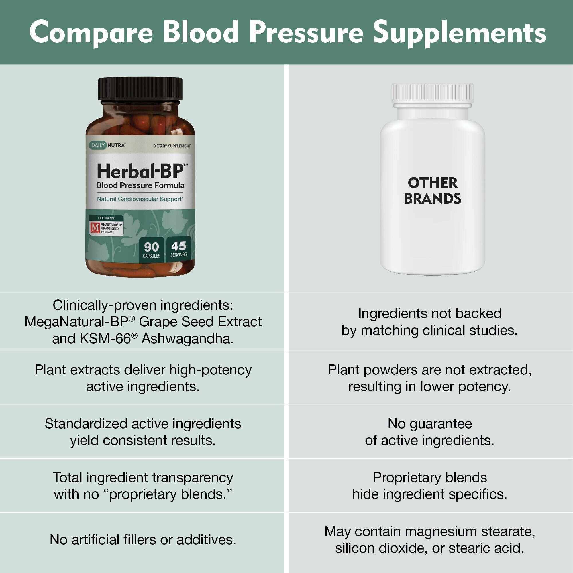 Herbal-BP - Supports circulatory wellness