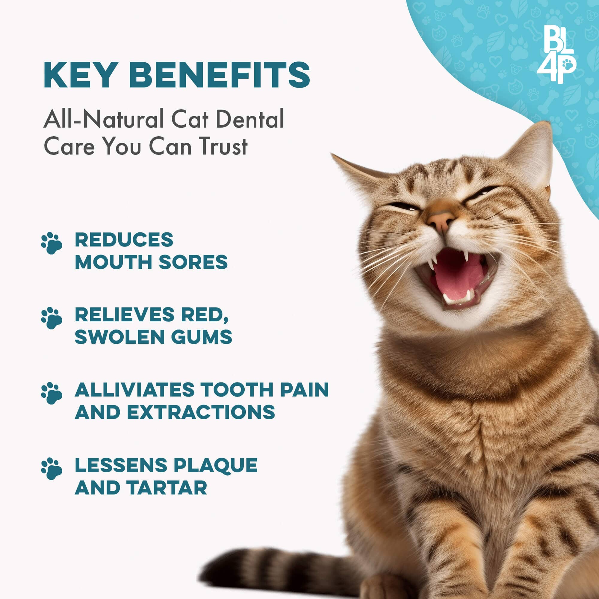 Cat Dental Care and Bad Breath Remedy by BestLife4Pets