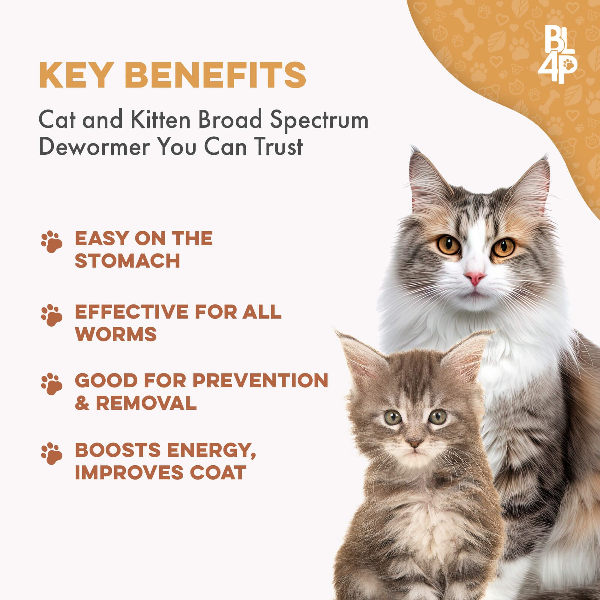 Homeopathic Broad Spectrum Dewormer for Cats & Kittens by BestLife4Pets