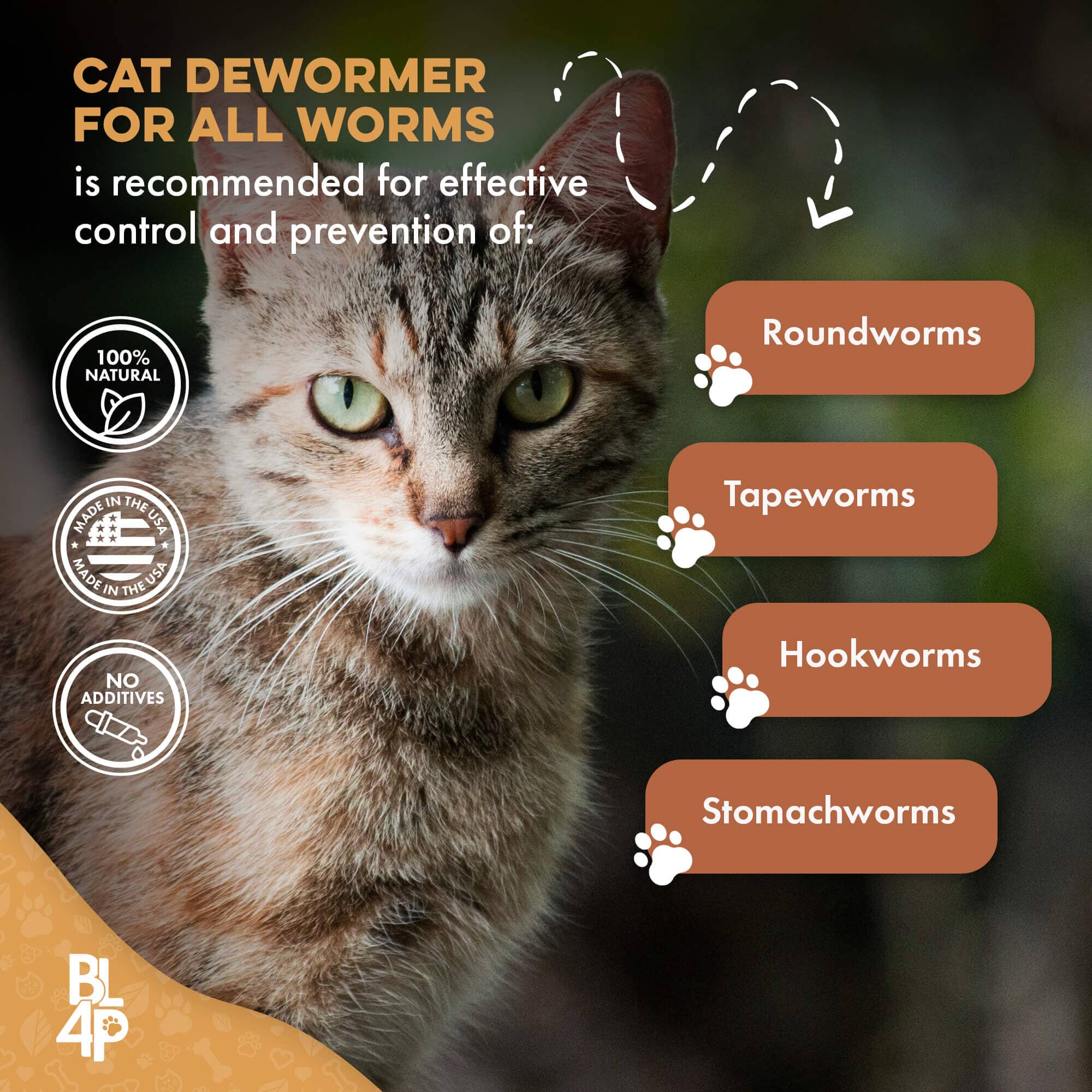 Homeopathic Broad Spectrum Dewormer for Cats & Kittens by BestLife4Pets