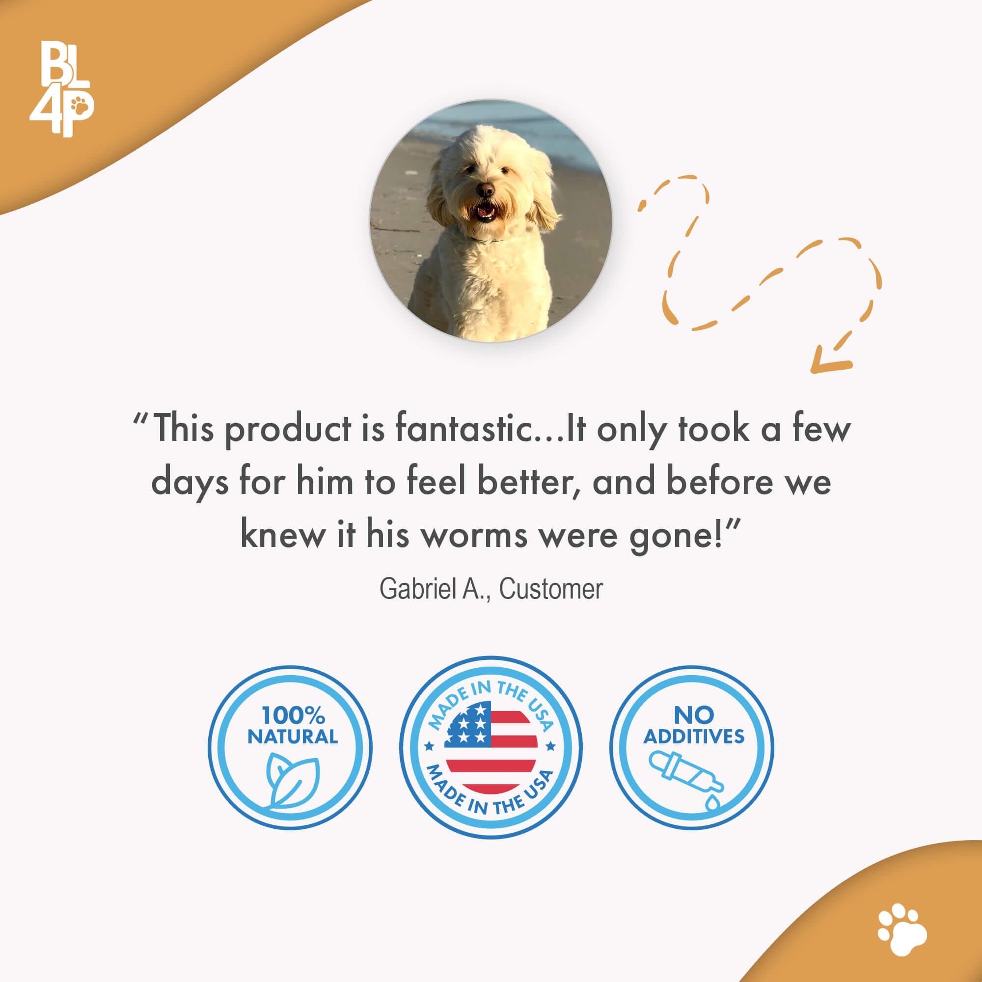 Broad Spectrum De-wormer for All Dogs by BestLife4Pets