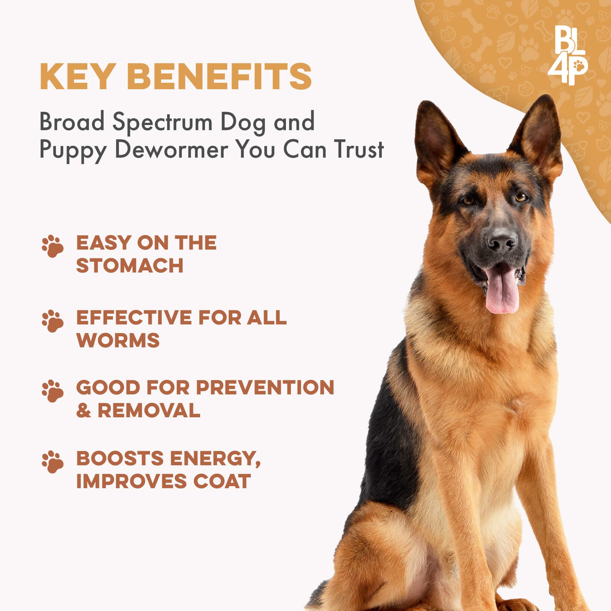 Broad Spectrum De-wormer for All Dogs by BestLife4Pets