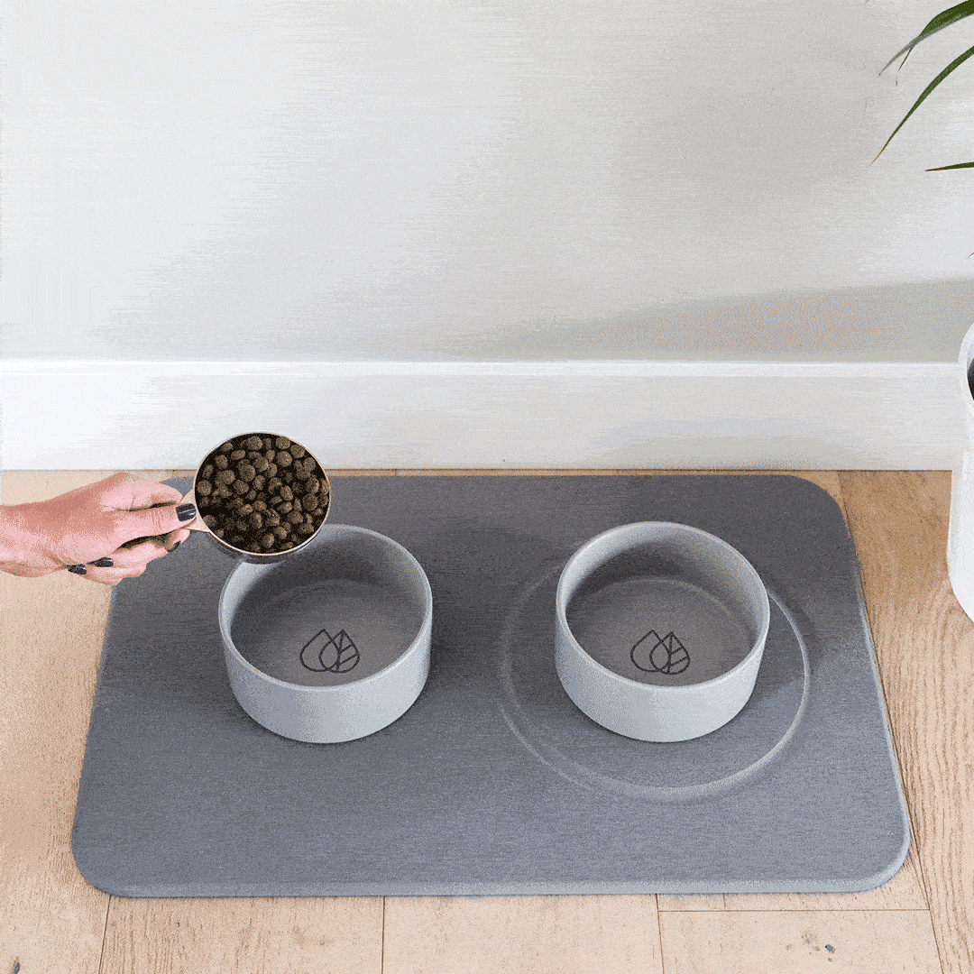 Dog Bowls + Stone Base by Dorai Home | Quick-Drying Home Essentials