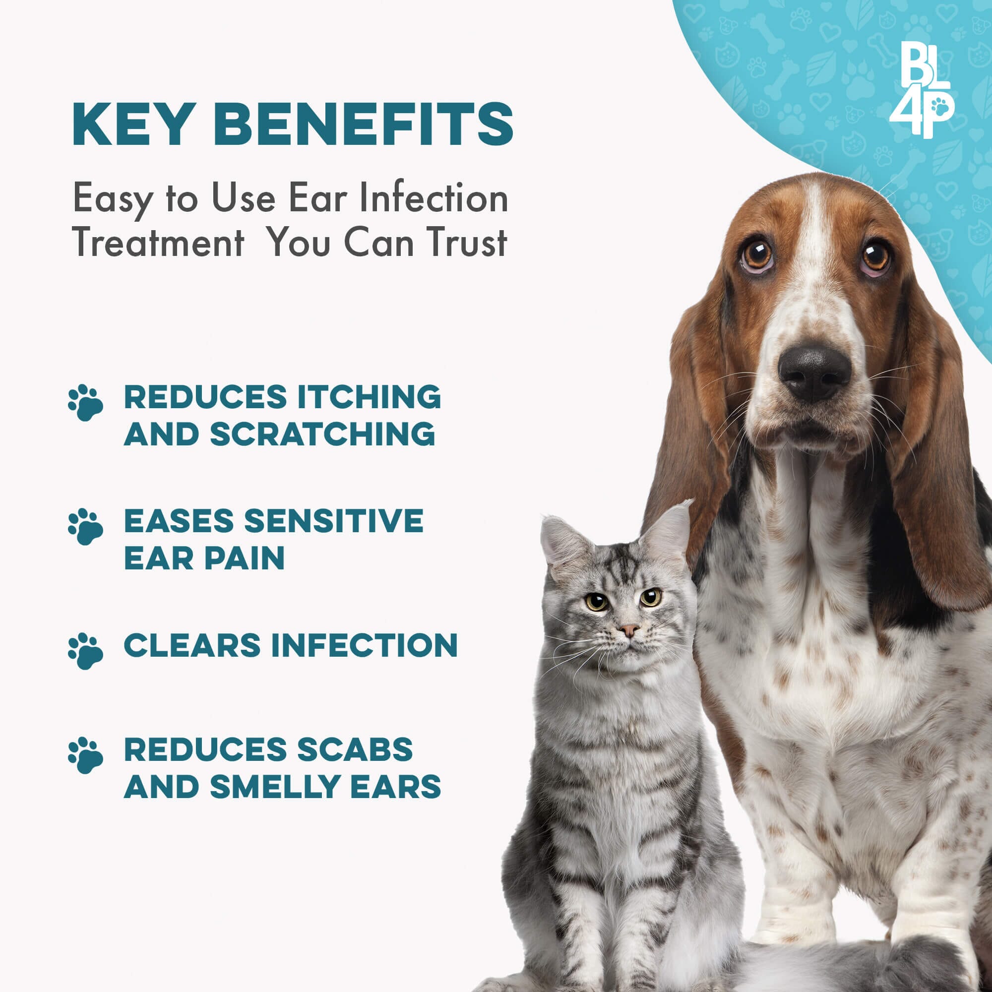 Ear Infection & Itch Relief for Dogs and Cats by BestLife4Pets