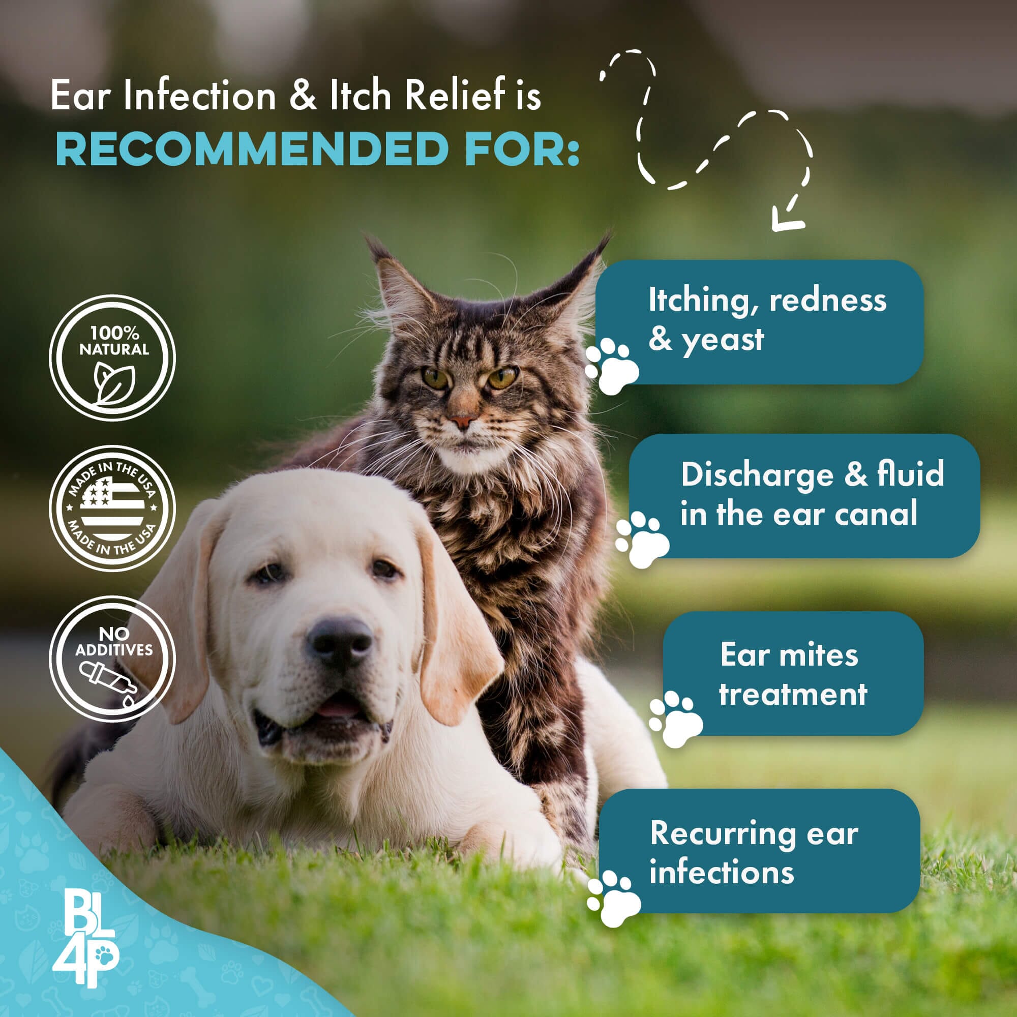 Ear Infection & Itch Relief for Dogs and Cats by BestLife4Pets