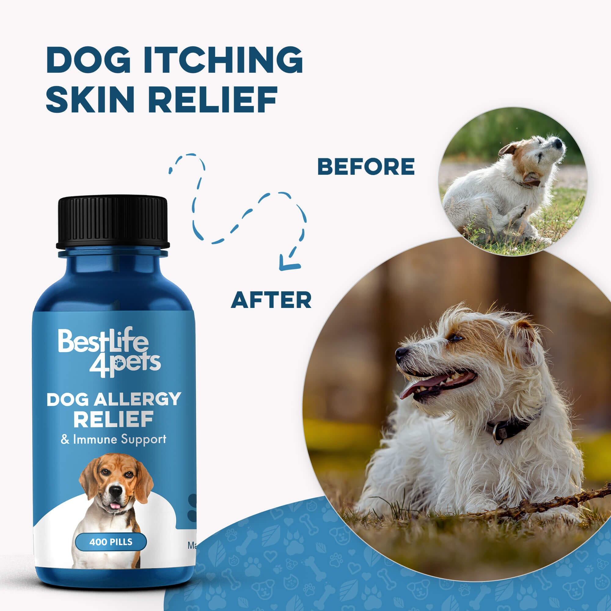 Dog Allergy & Immune Support Supplement by BestLife4Pets