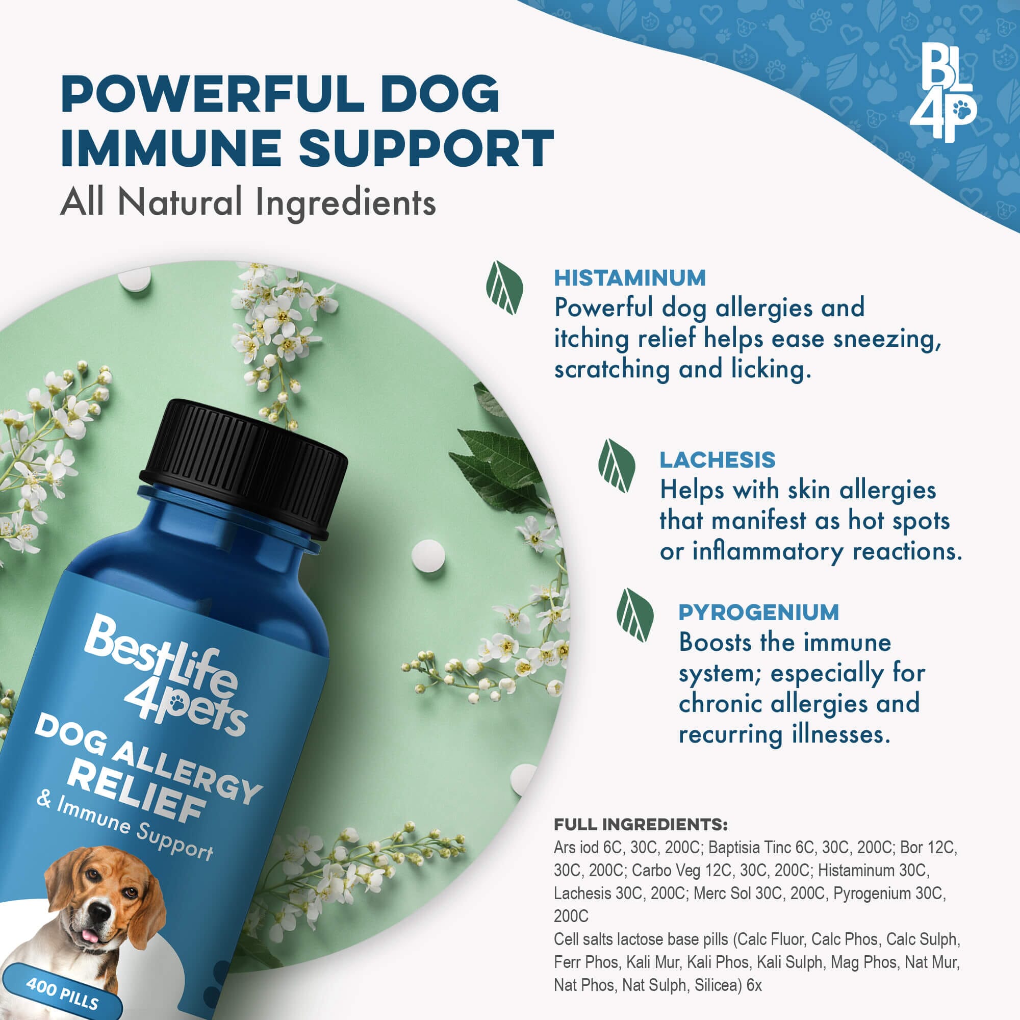 Dog Allergy & Immune Support Supplement by BestLife4Pets