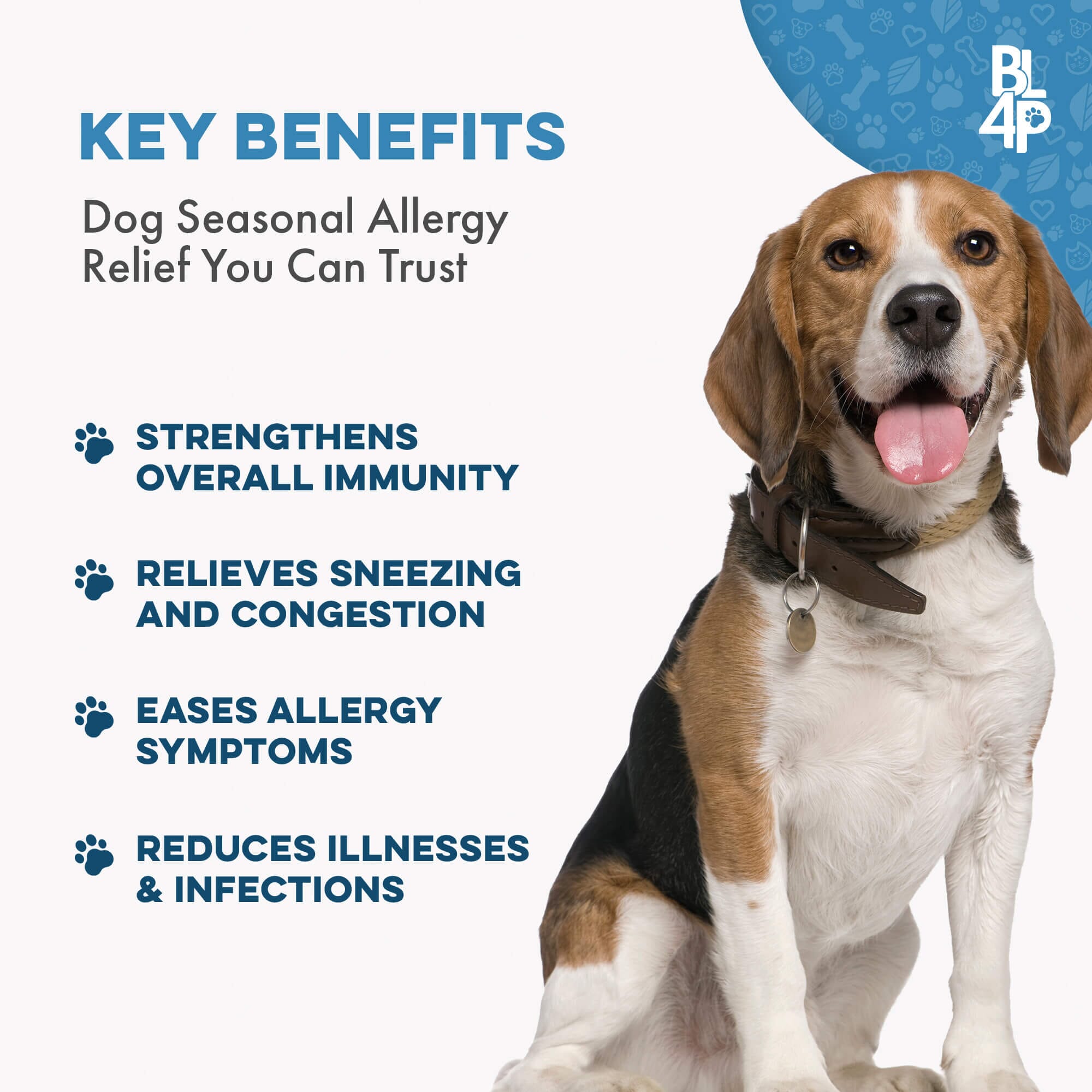 Dog Allergy & Immune Support Supplement by BestLife4Pets