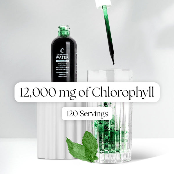 Chlorophyll Water Drops™ | Liquid Chlorophyll Water Drops | Chlorophyll Liquid by Chlorophyll Water