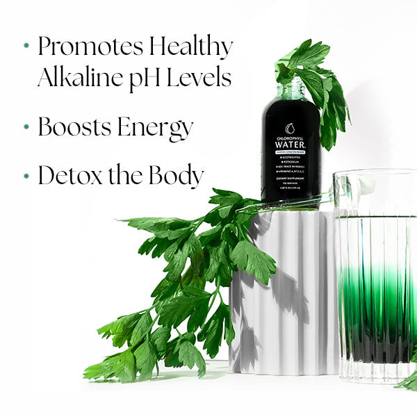 Chlorophyll Water Drops™ | Liquid Chlorophyll Water Drops | Chlorophyll Liquid by Chlorophyll Water
