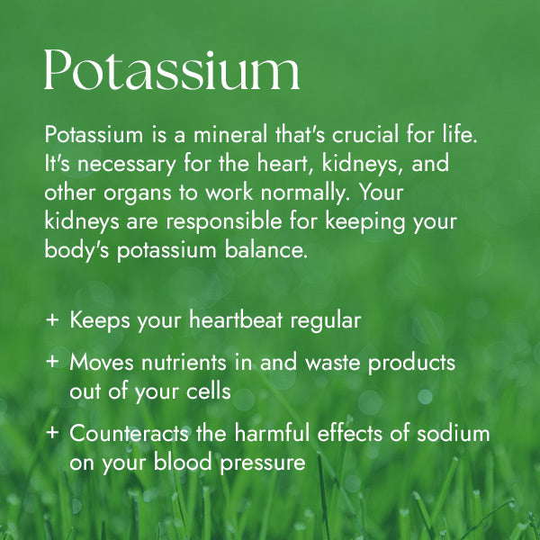 Chlorophyll Water Drops™ | Liquid Chlorophyll Water Drops | Chlorophyll Liquid by Chlorophyll Water