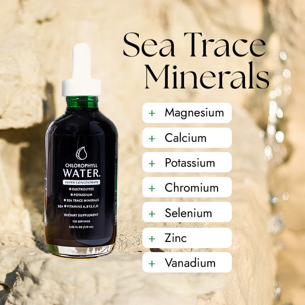 Chlorophyll Water Drops™ | Liquid Chlorophyll Water Drops | Chlorophyll Liquid by Chlorophyll Water