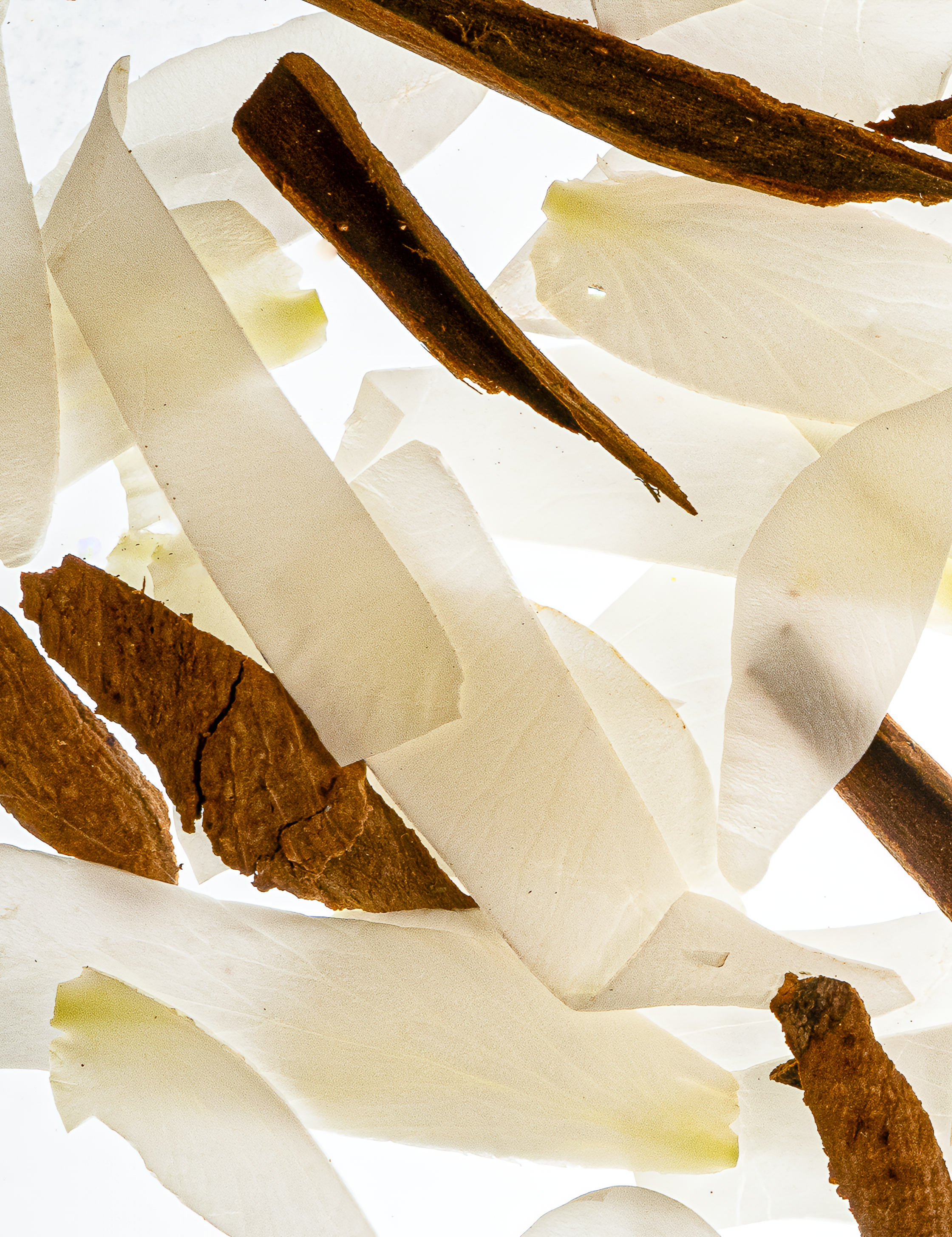 Neroli Blossom Fragrance