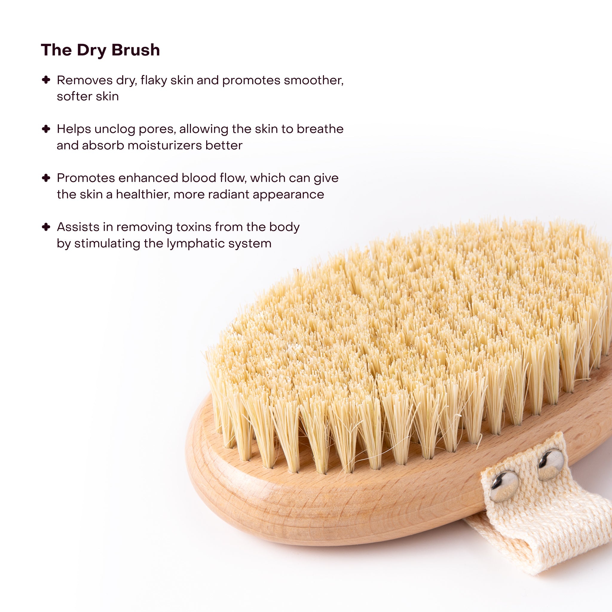 The Dry Brush
