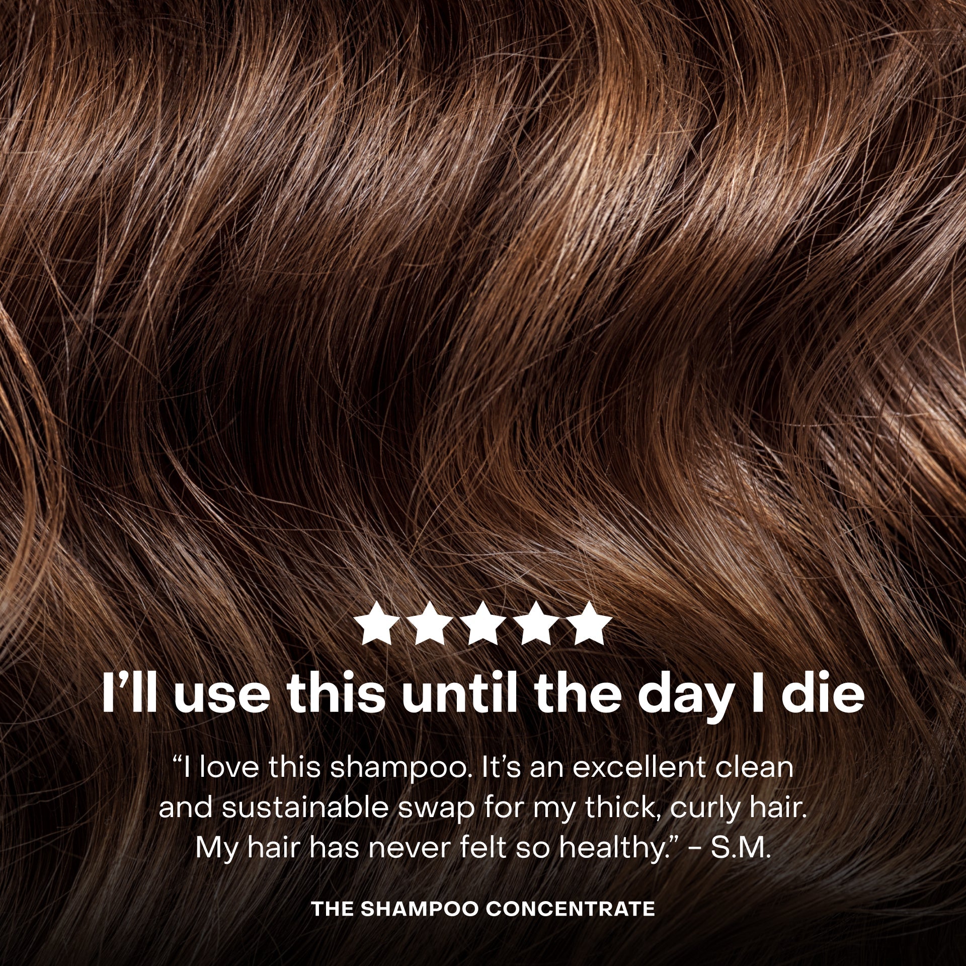 The Shampoo Concentrate Tin