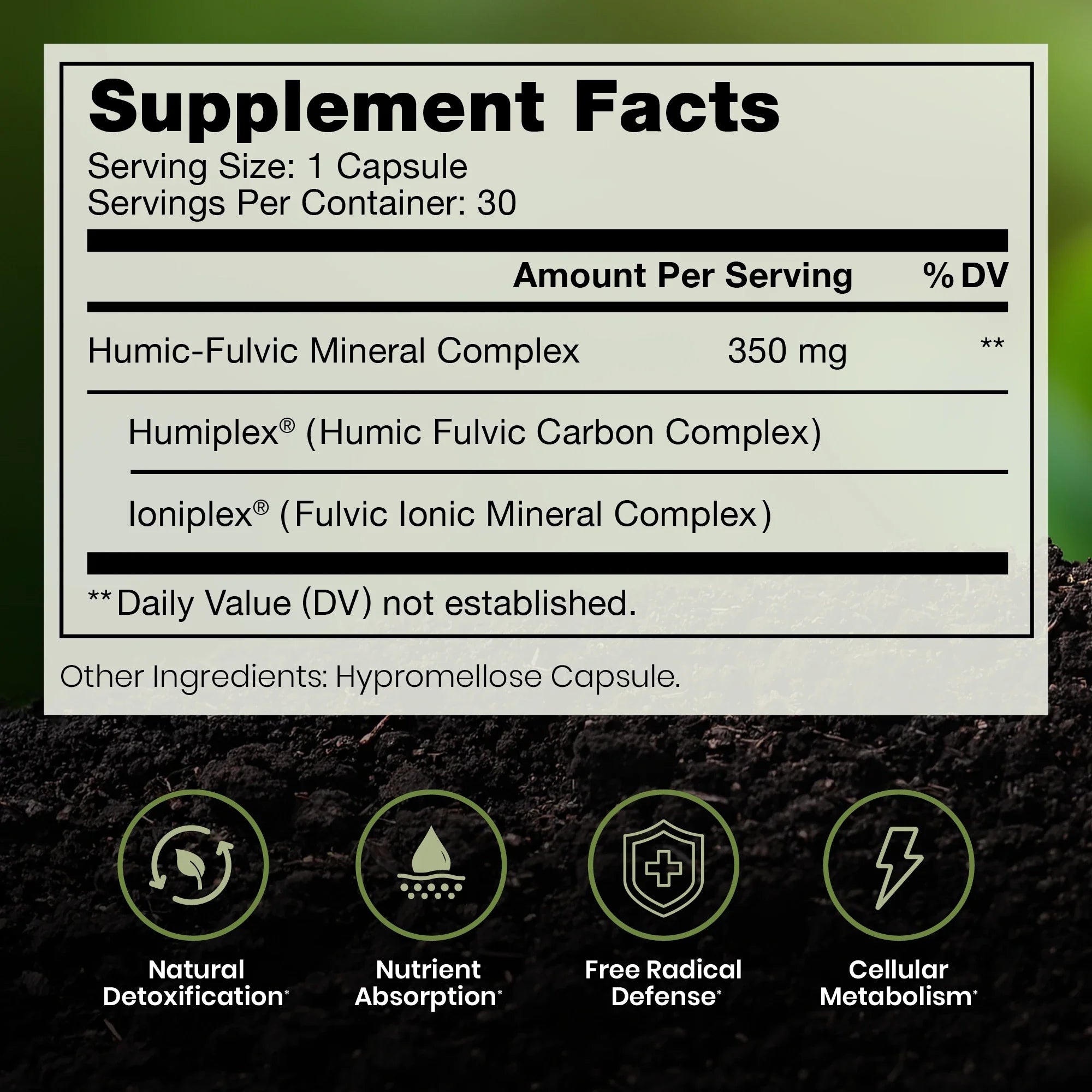 EarthMend™