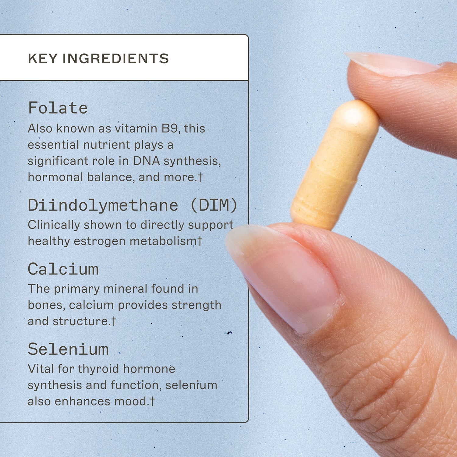 EstroProtect by Amy Myers MD