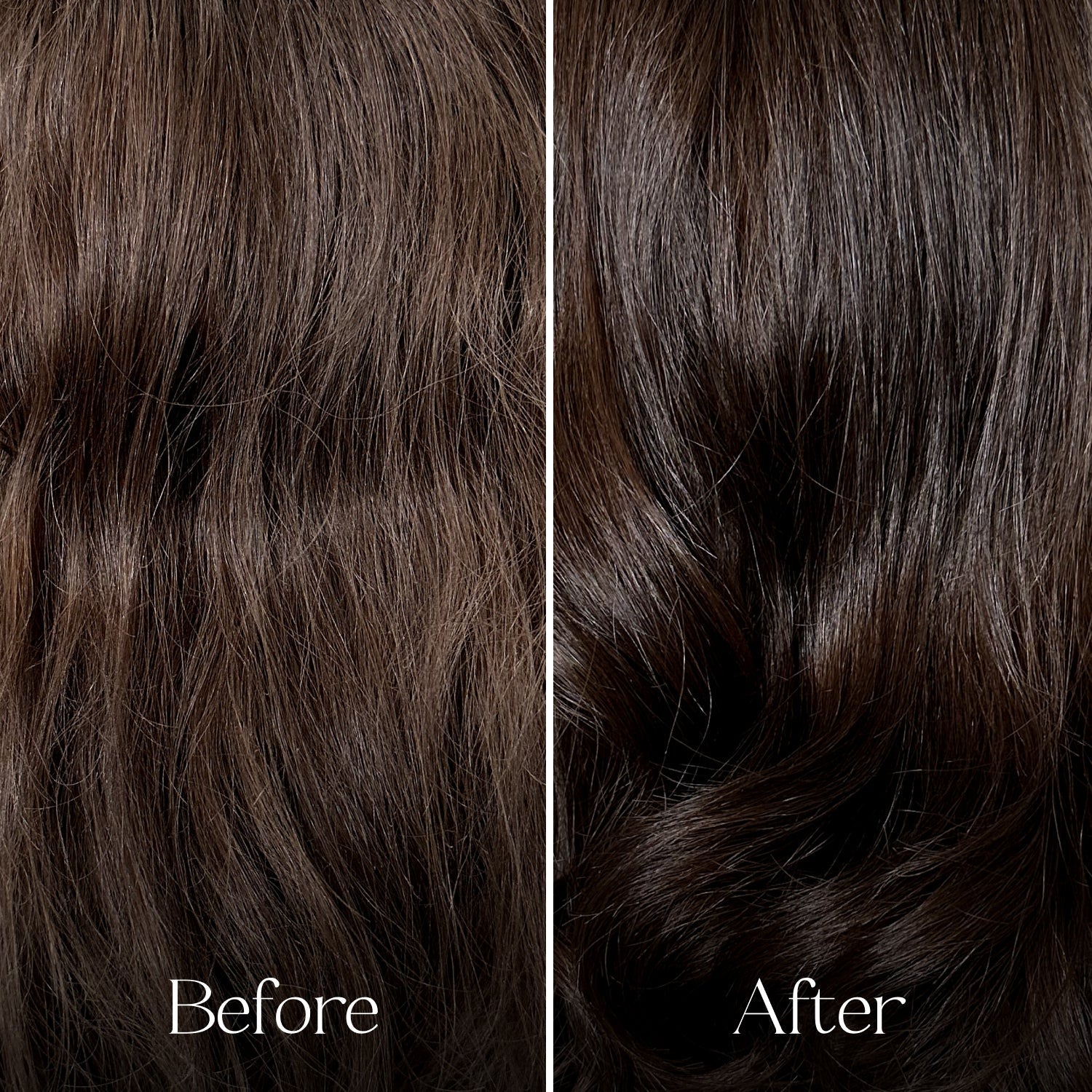 The Deep Conditioning Concentrate