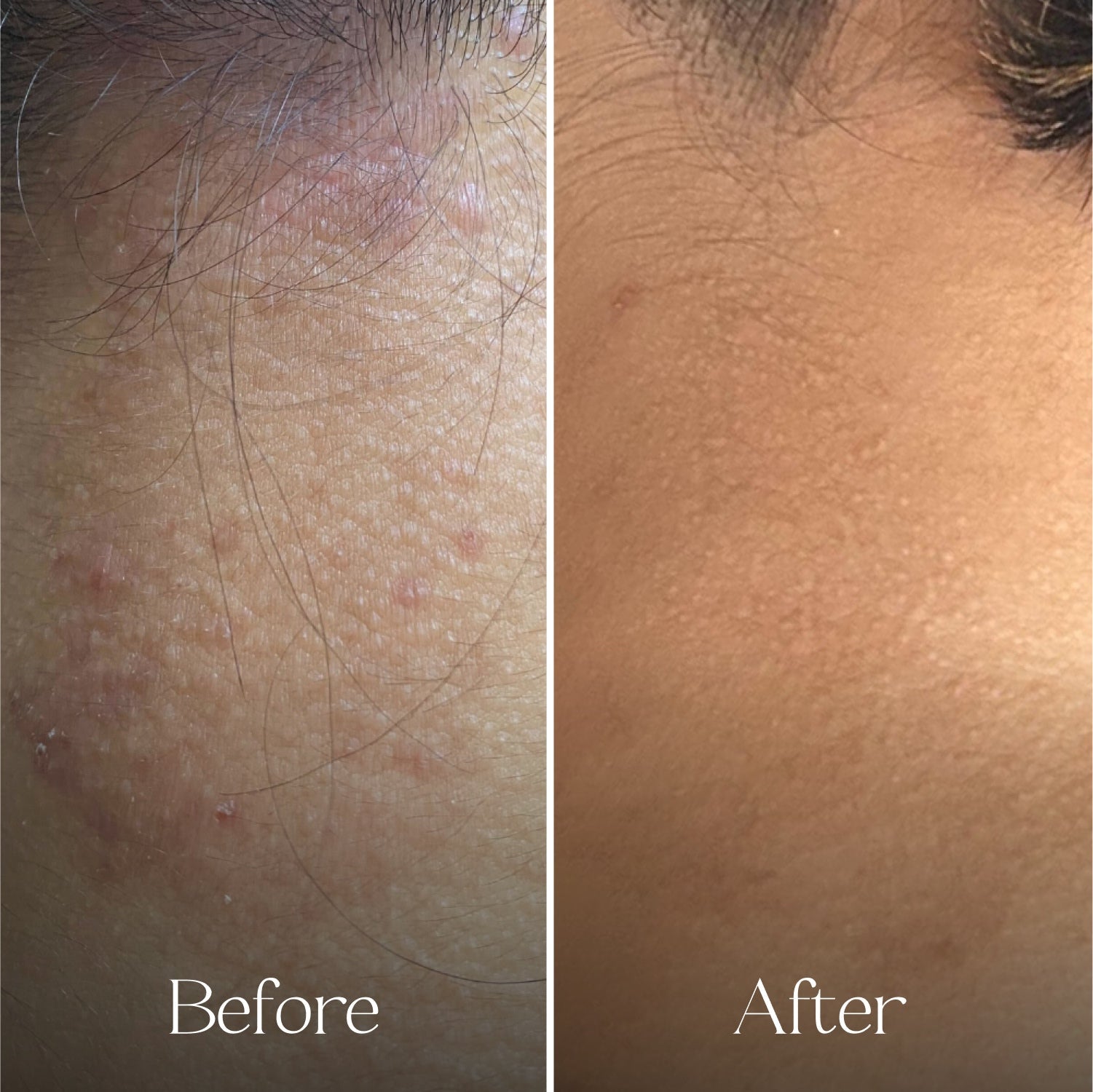 The Fragrance-Free Conditioning Concentrate Mini