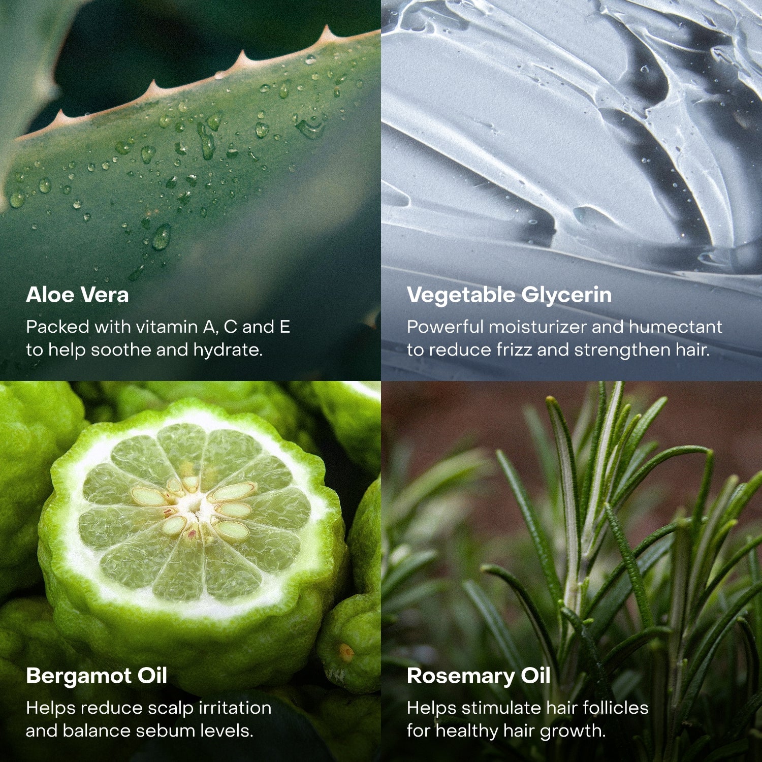 The Shower Essentials Travel Kit